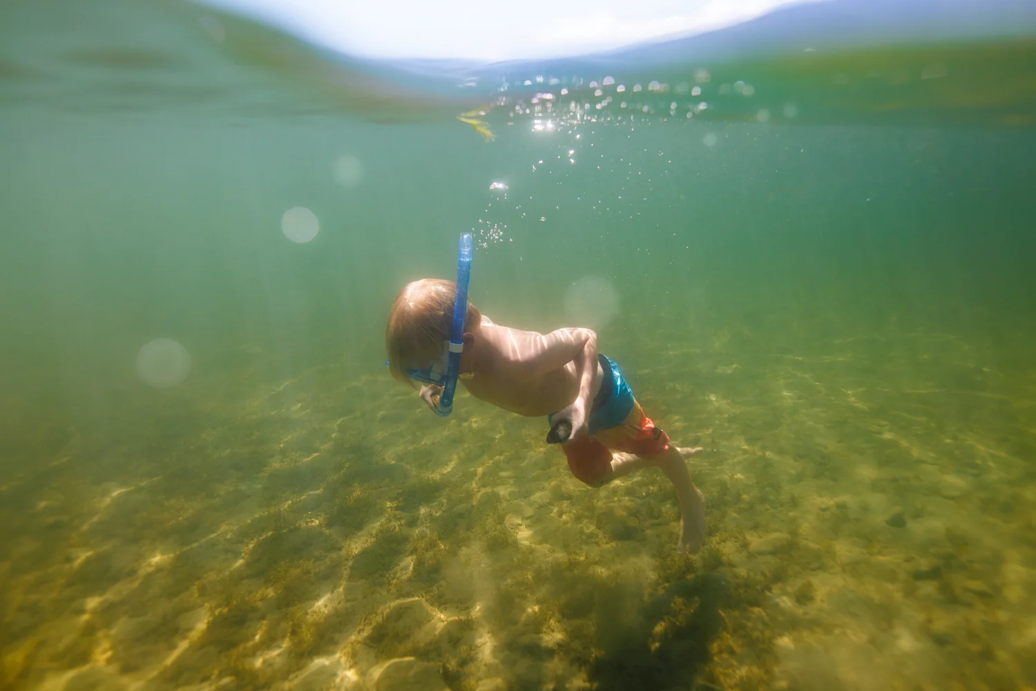 ArdelleNeubert_UnderwaterPhotography_Colour_Snorkeling_Lake_Summer_Child_Exploring.jpg