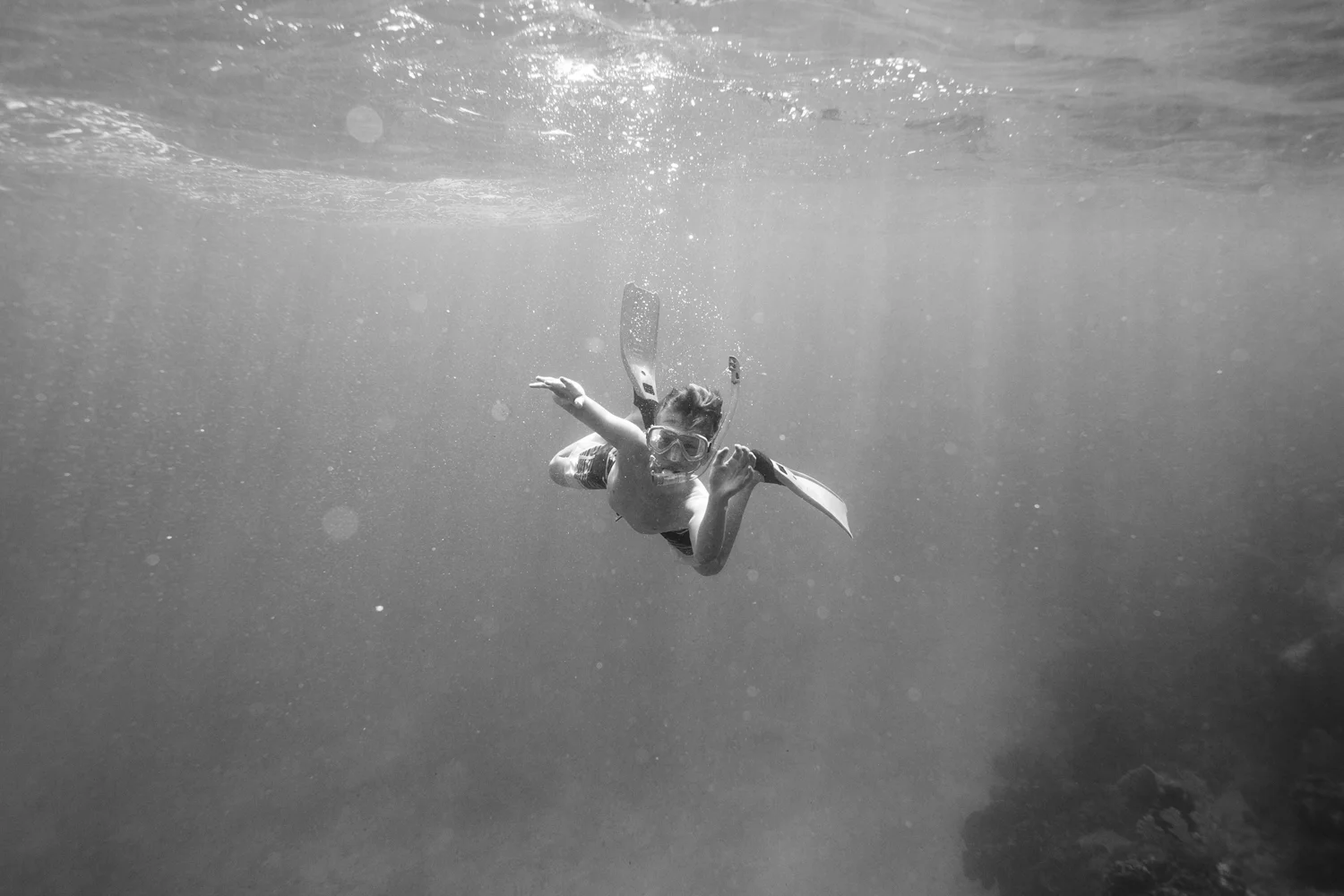 ArdelleNeubert_UnderwaterPhotography_Snorkeling_Ocean_Black&White_floatingbelow.jpg