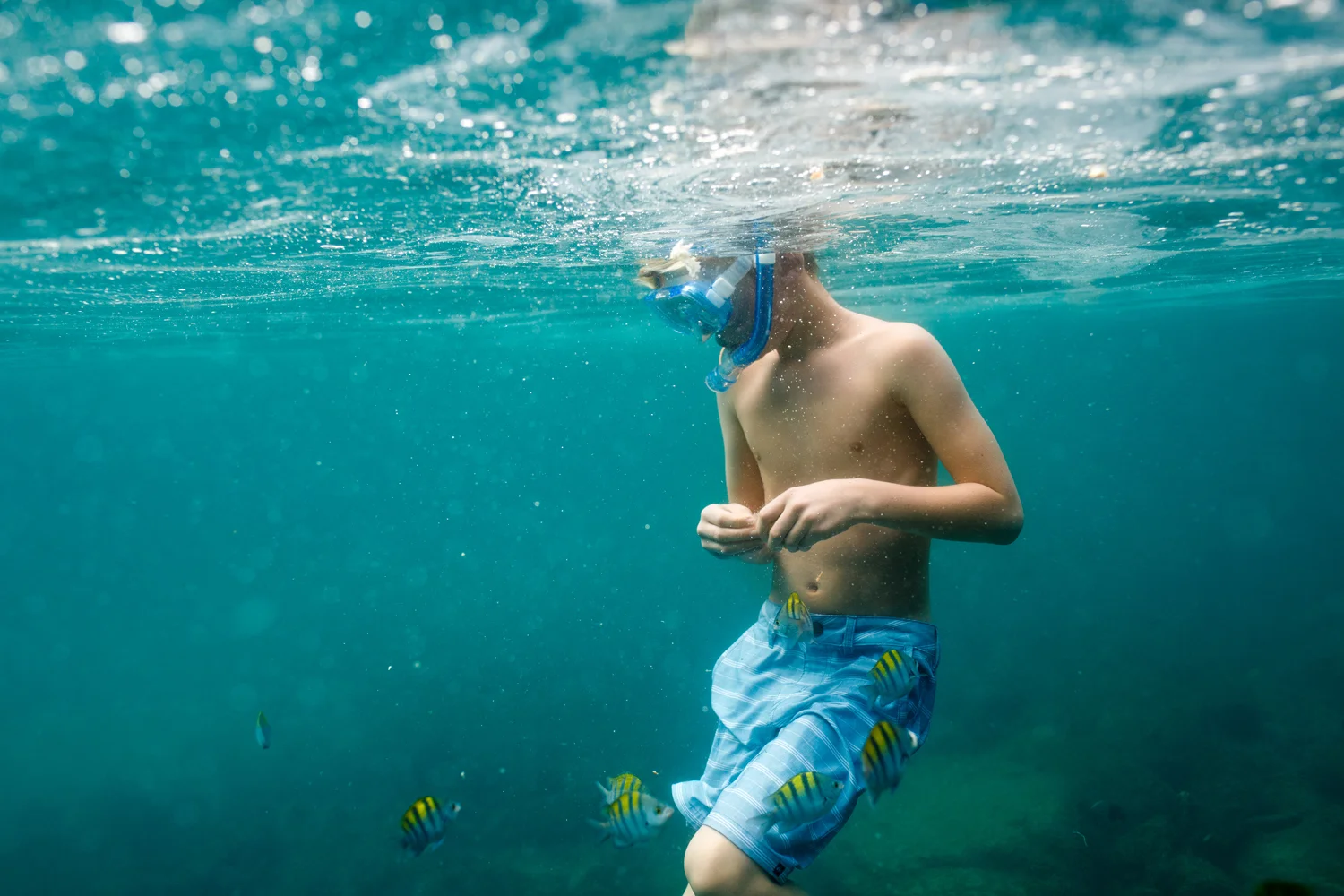 ArdelleNeubert_UnderwaterPhotography_Snorkeling_Ocean_Fish.jpg