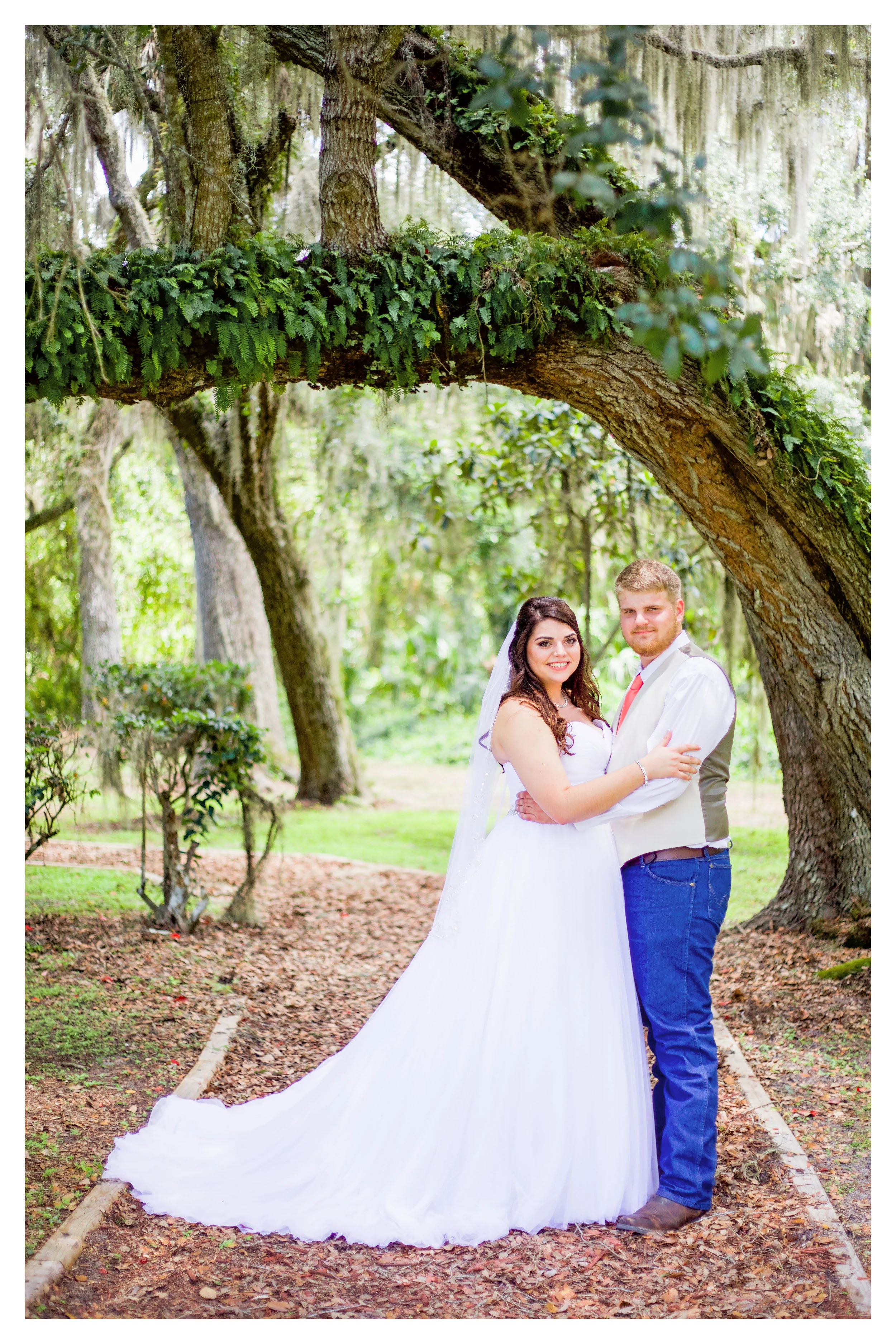 Why Are Oak Trees So Magical?