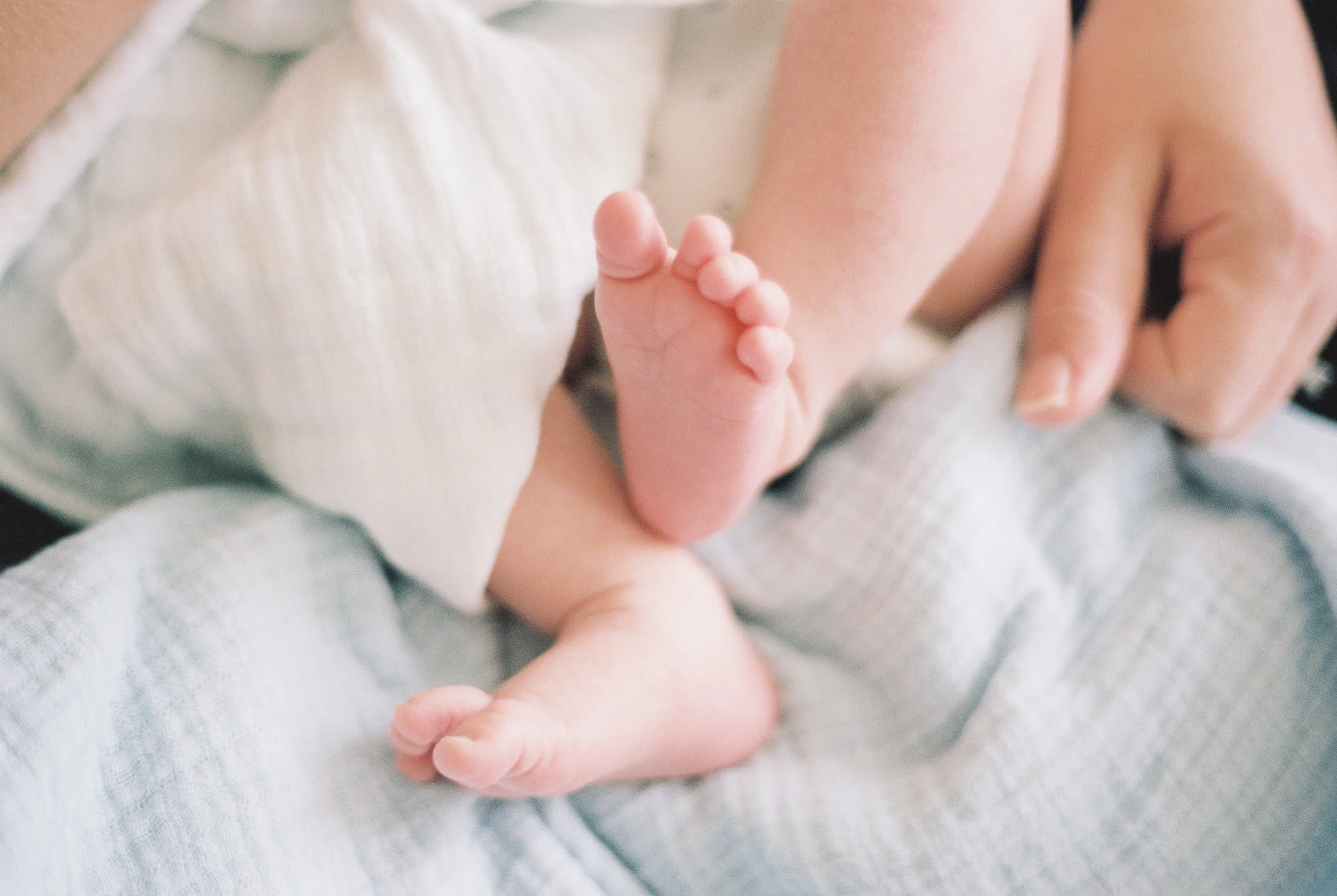 Nolan Bear Bryan On Film