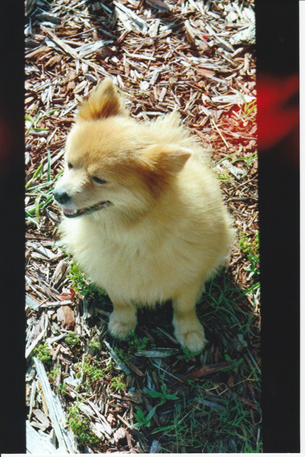 scan-1.jpeg