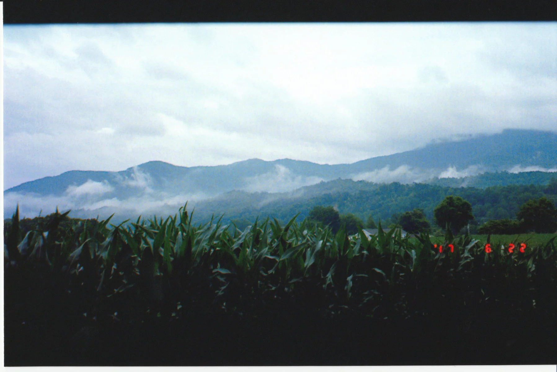 Scan 10
