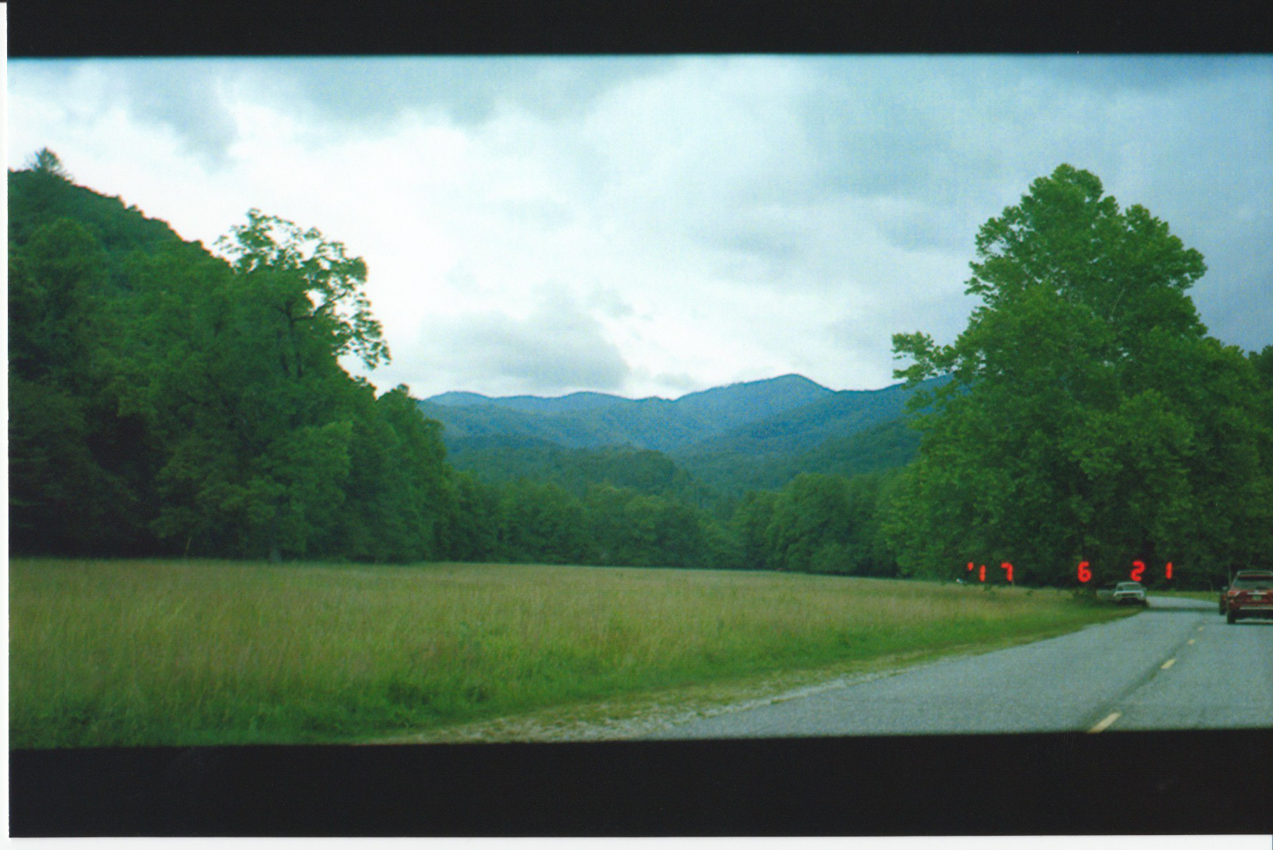 Scan 13