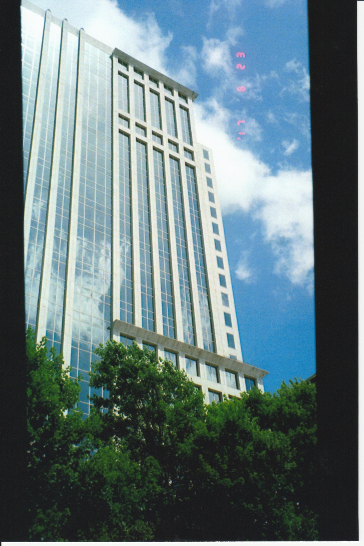 Scan 9