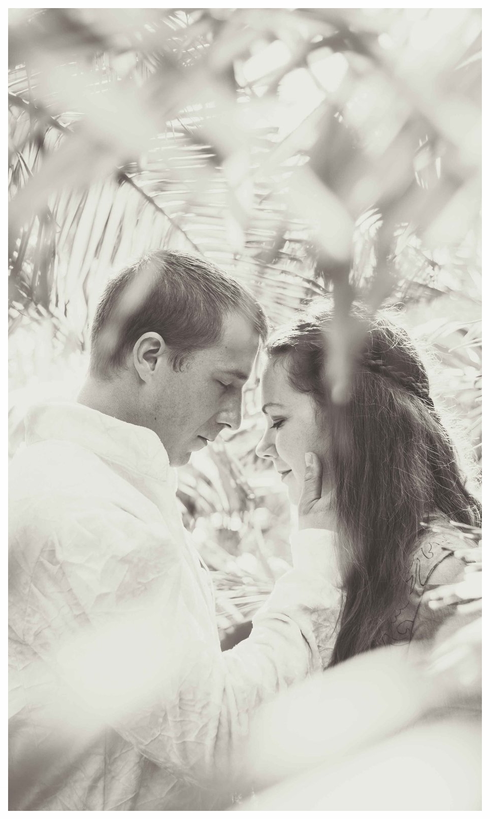 Highgarden Revisited