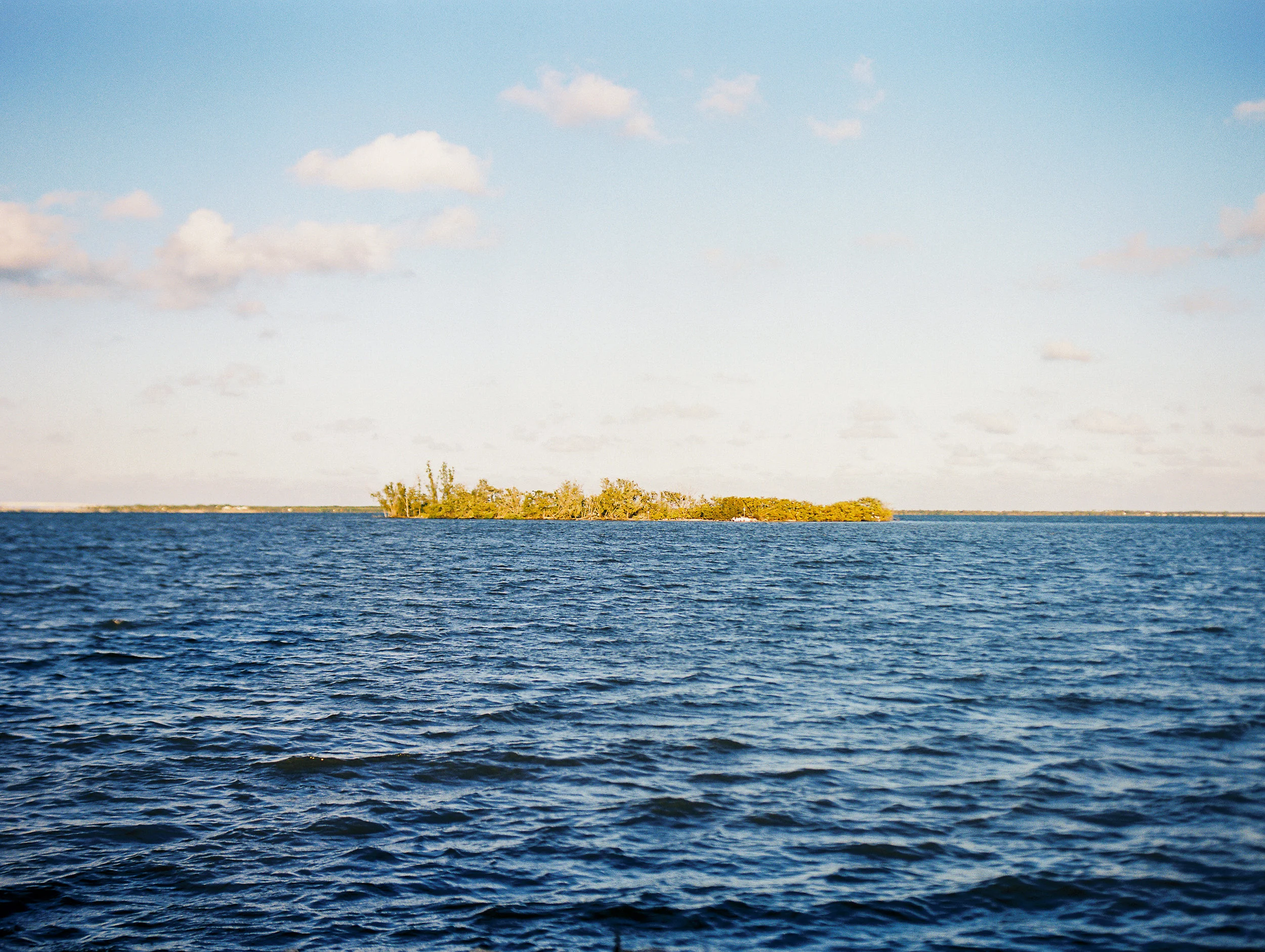 Winter In Florida On Medium Format