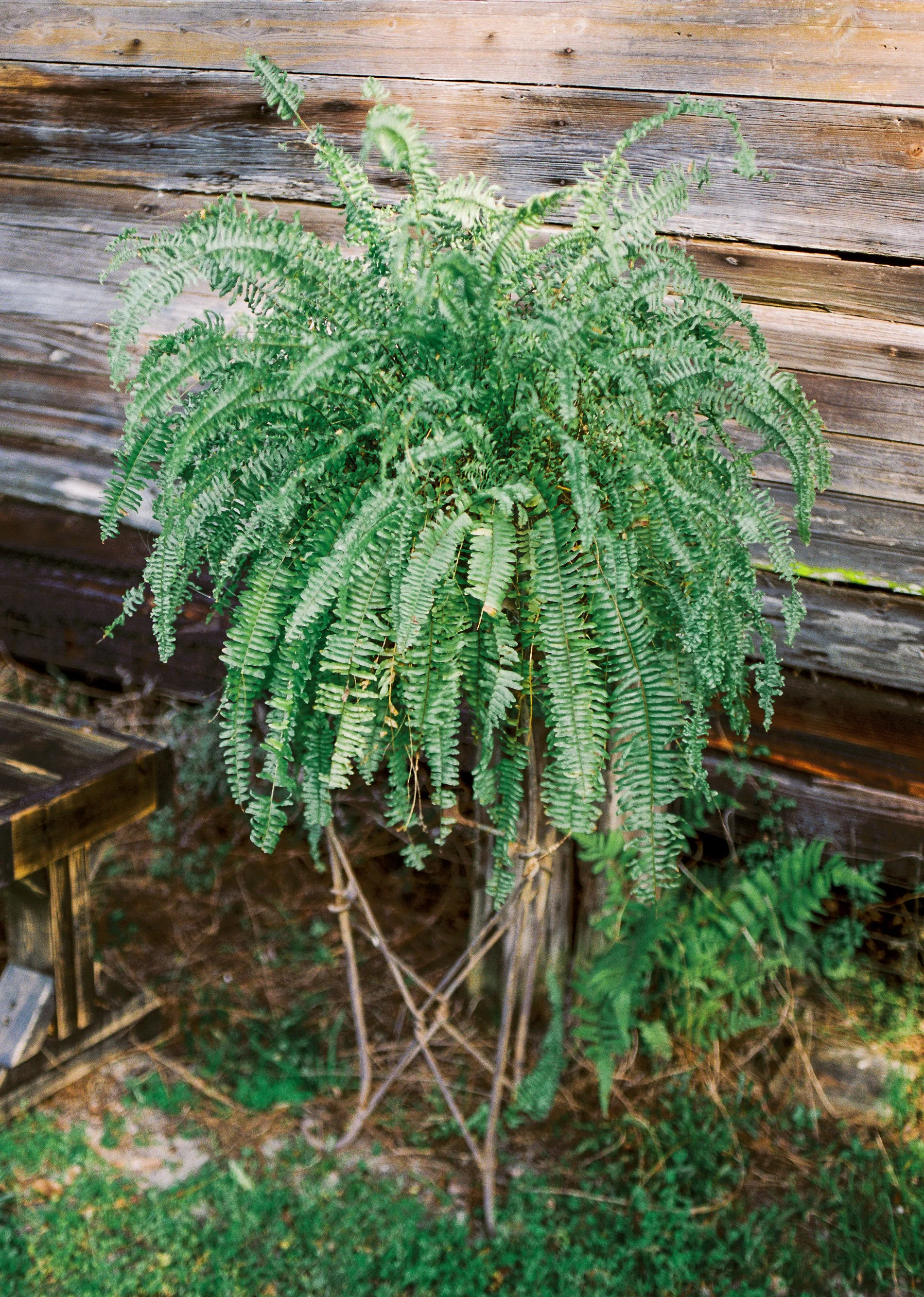 How To Use Film And Digital Images As A Photographer 