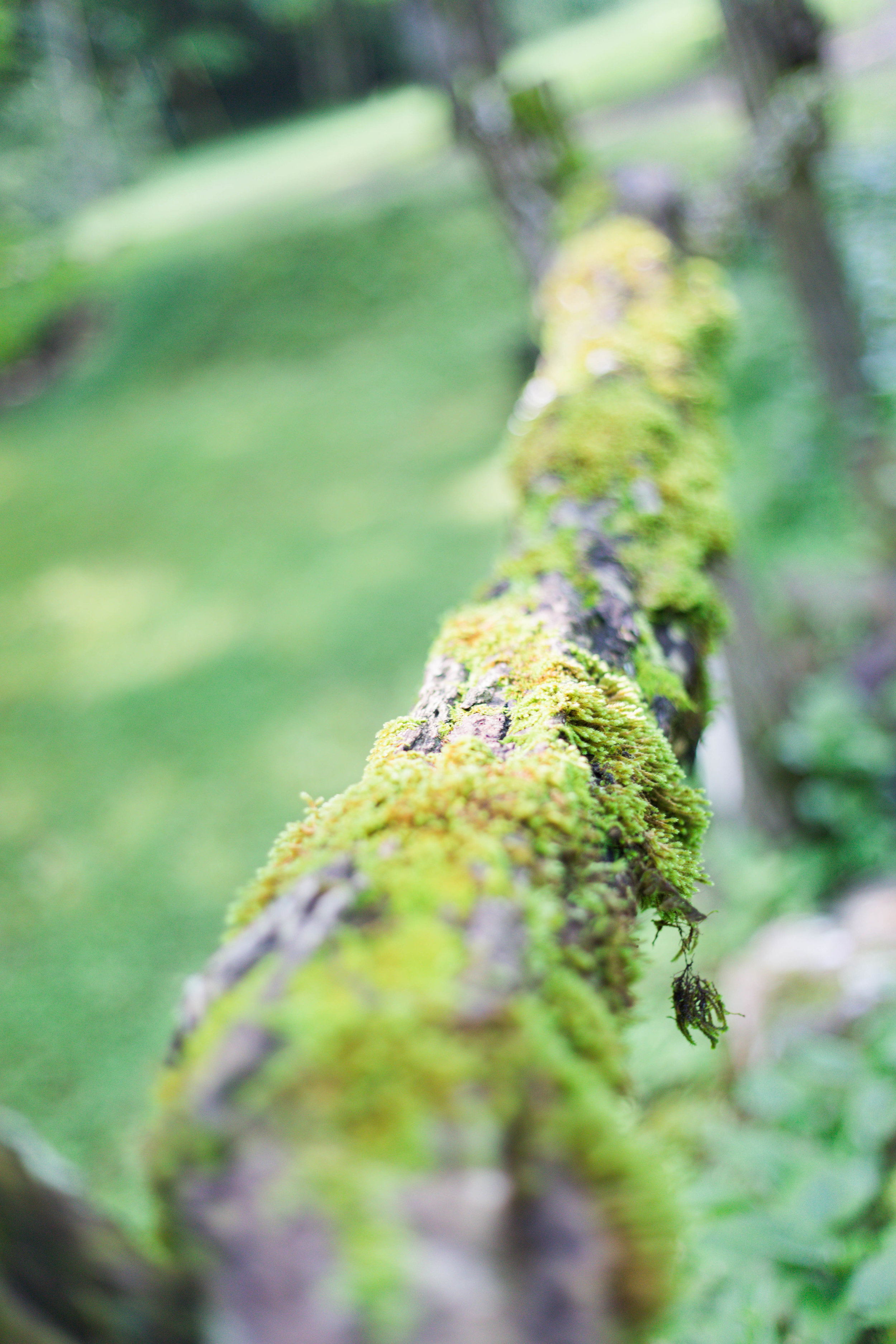 Adventures In Film: Chapter 3