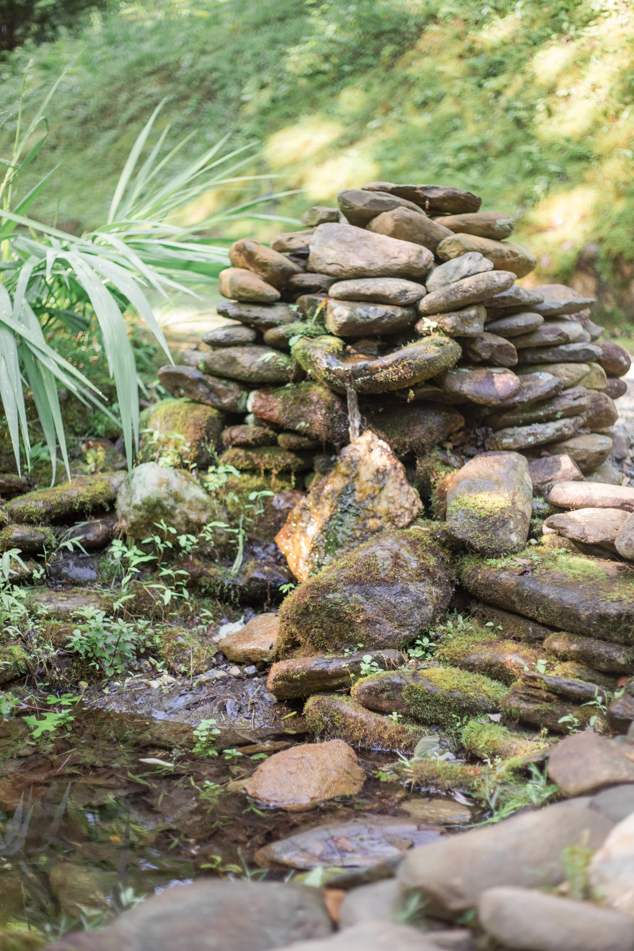 Adventures In Film: Chapter 2