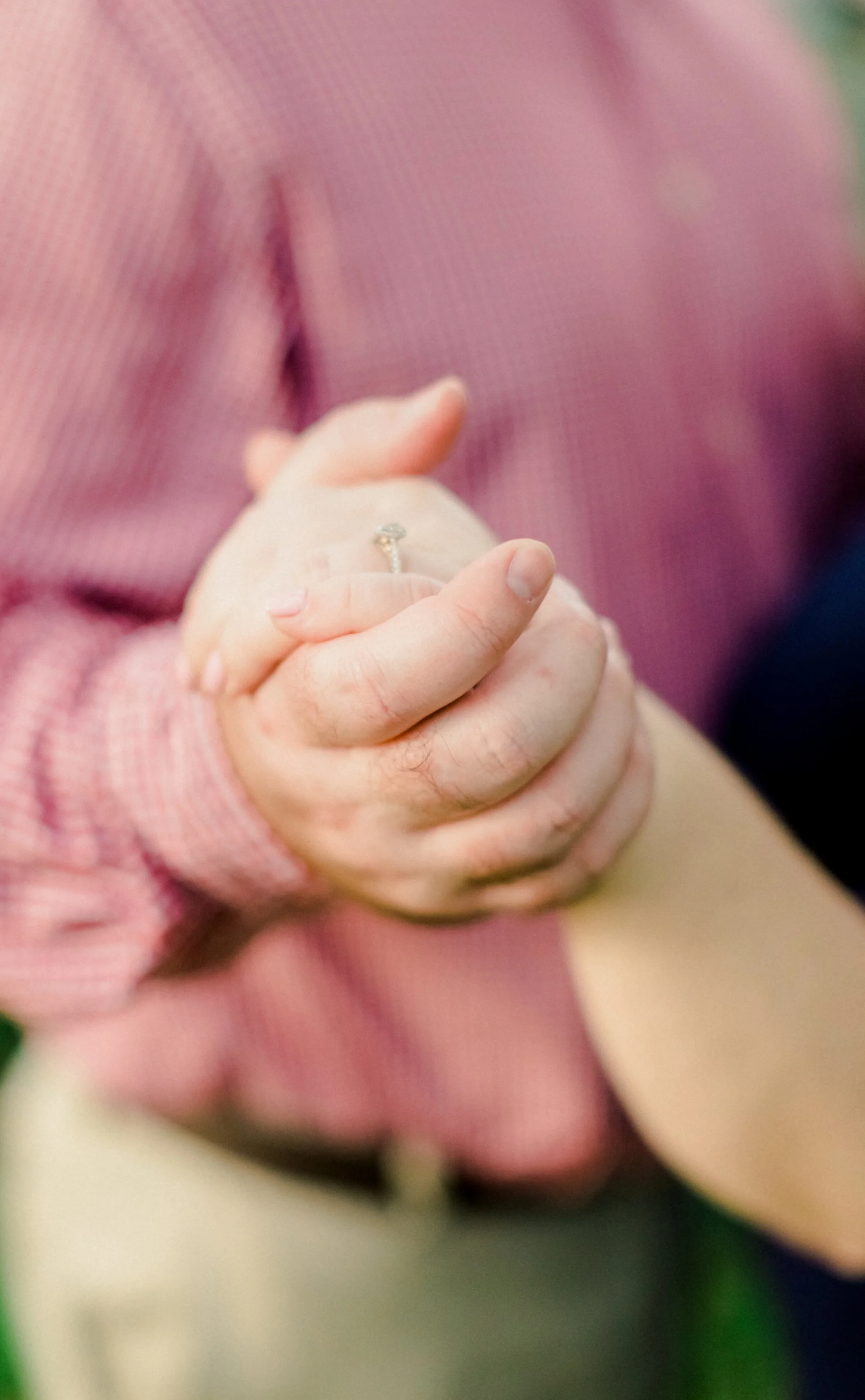 Divided: A Song of Portra and Fuji