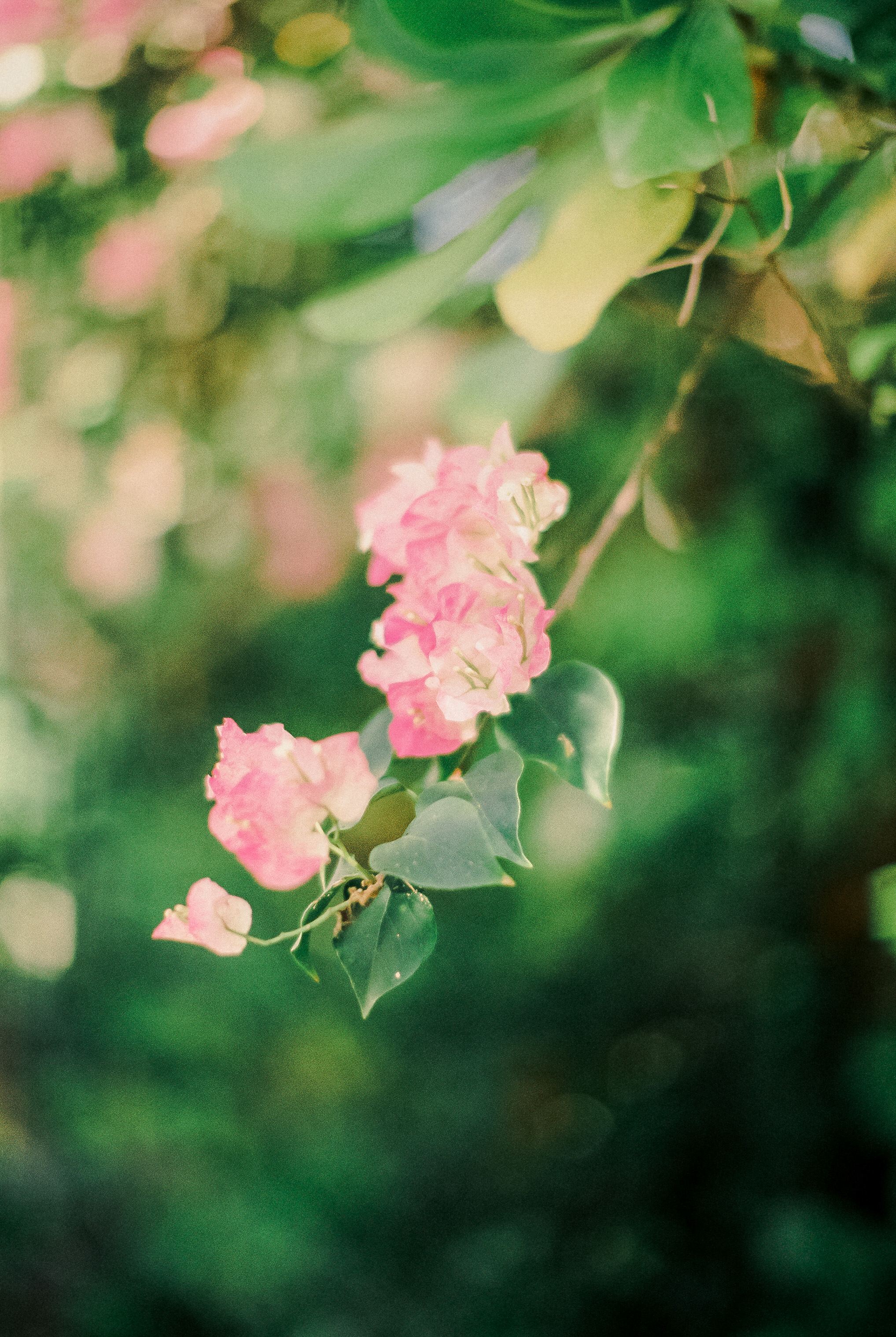 The Charm Of Rib City And Other Holes In The Wall