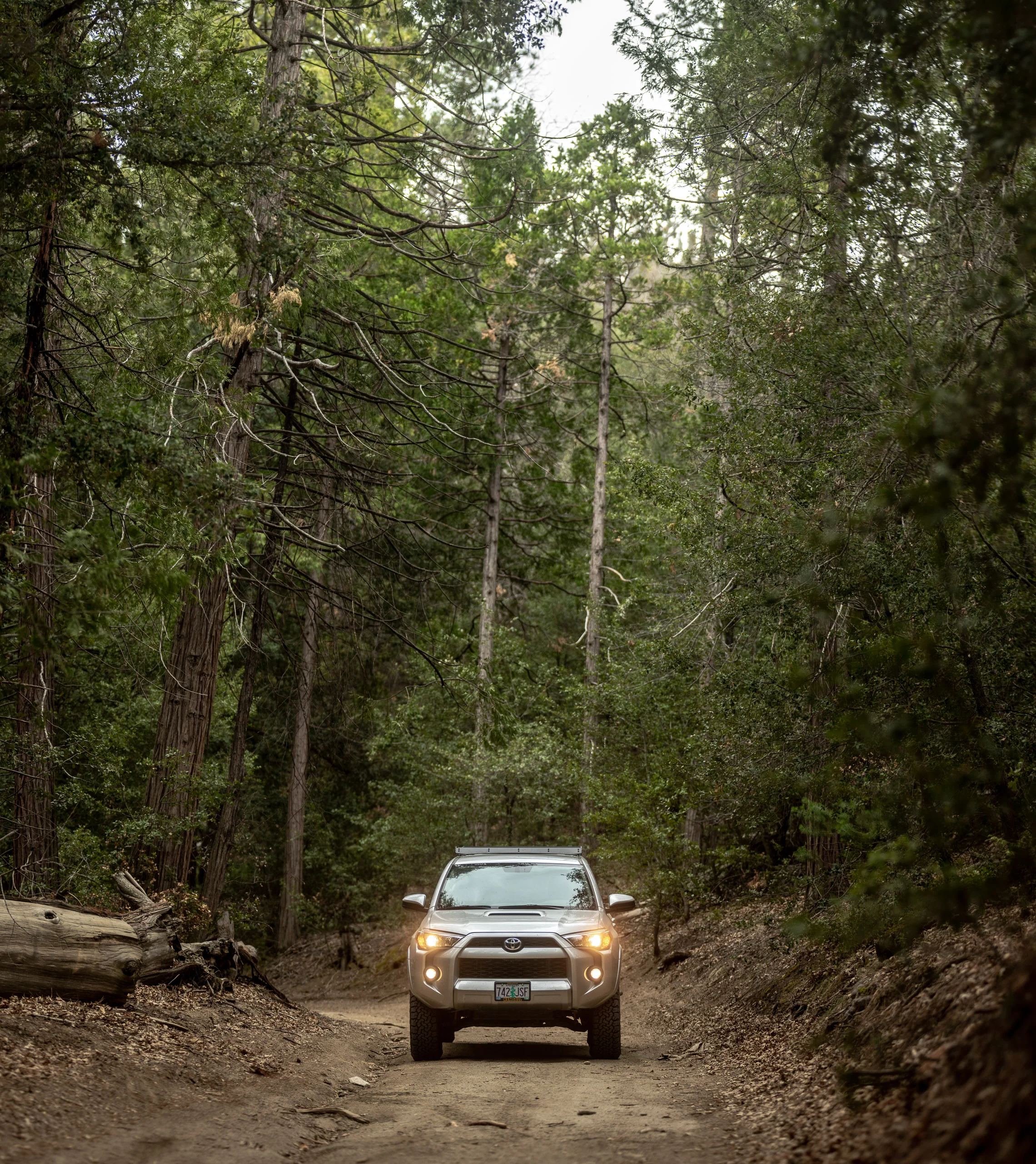 forest-toyota-4runner-dirt-road.jpg
