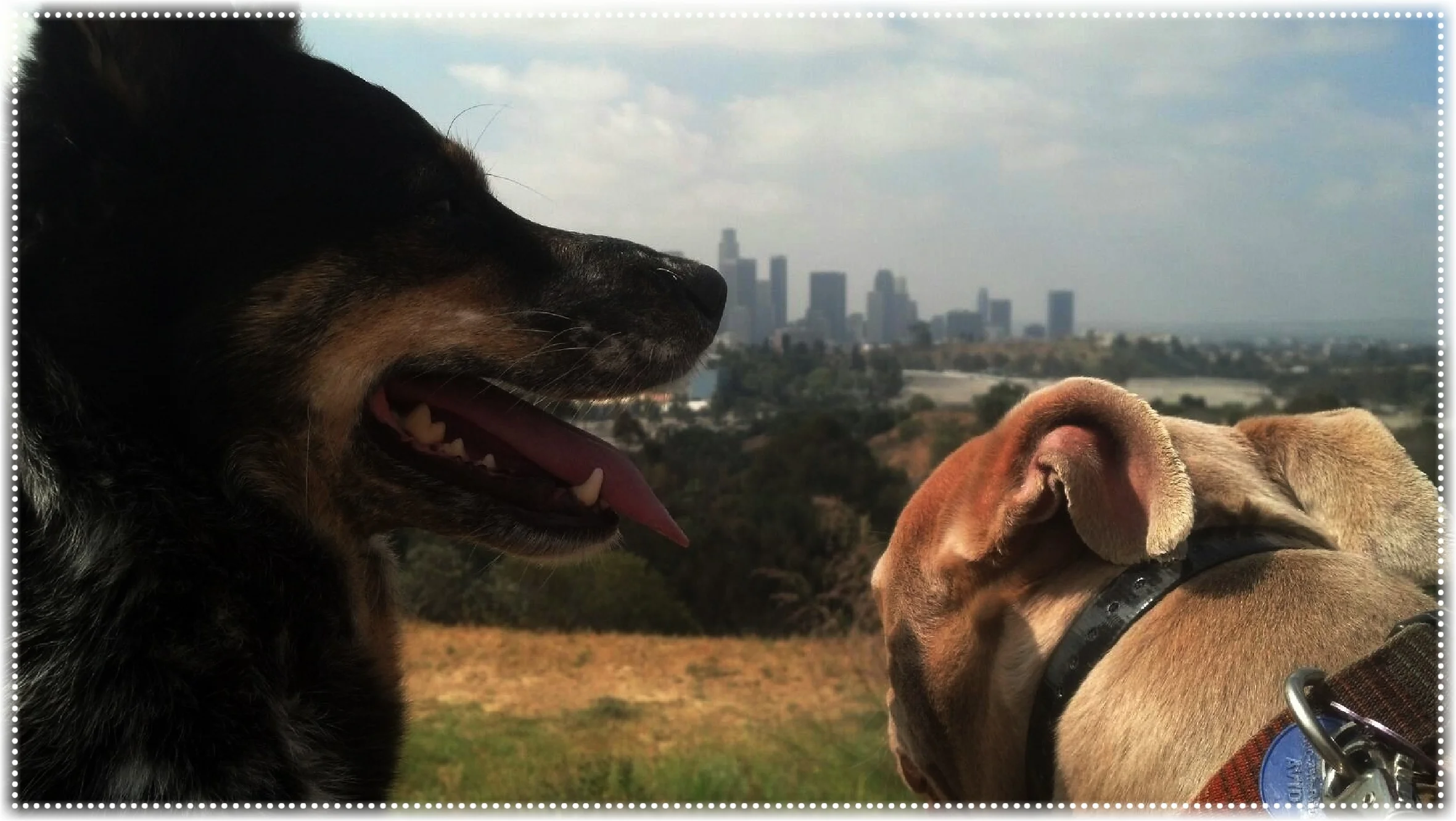 Studio mascots, Mimi and Yoda