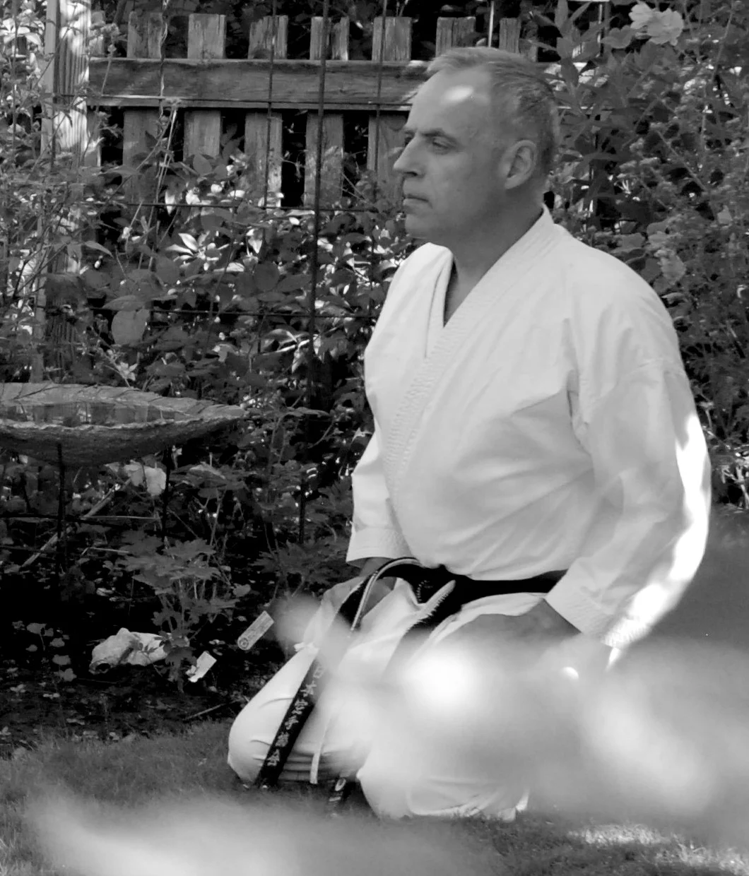 Peter Sehlin Zendokai copy.jpg