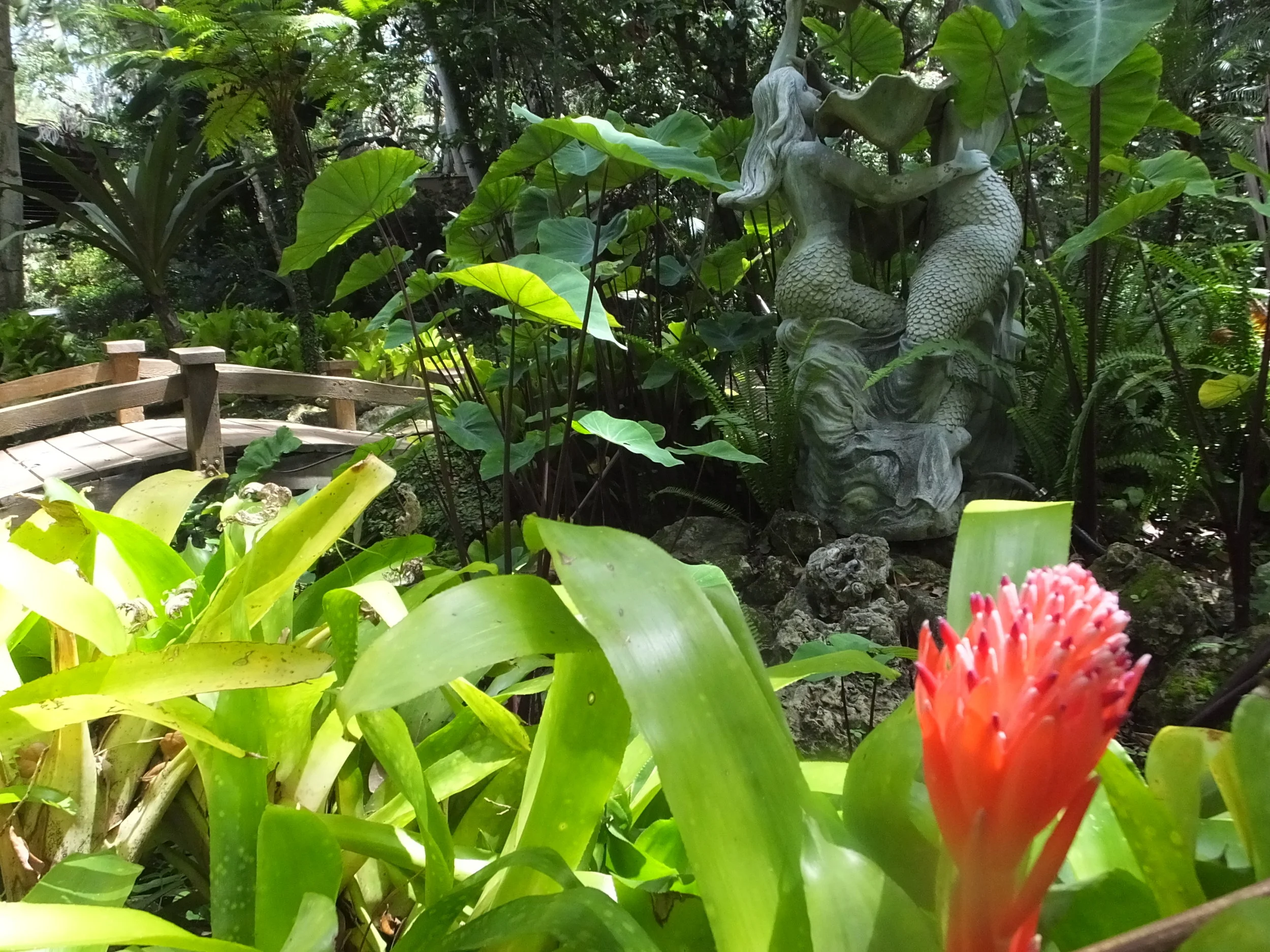 sanctuary garden.jpg