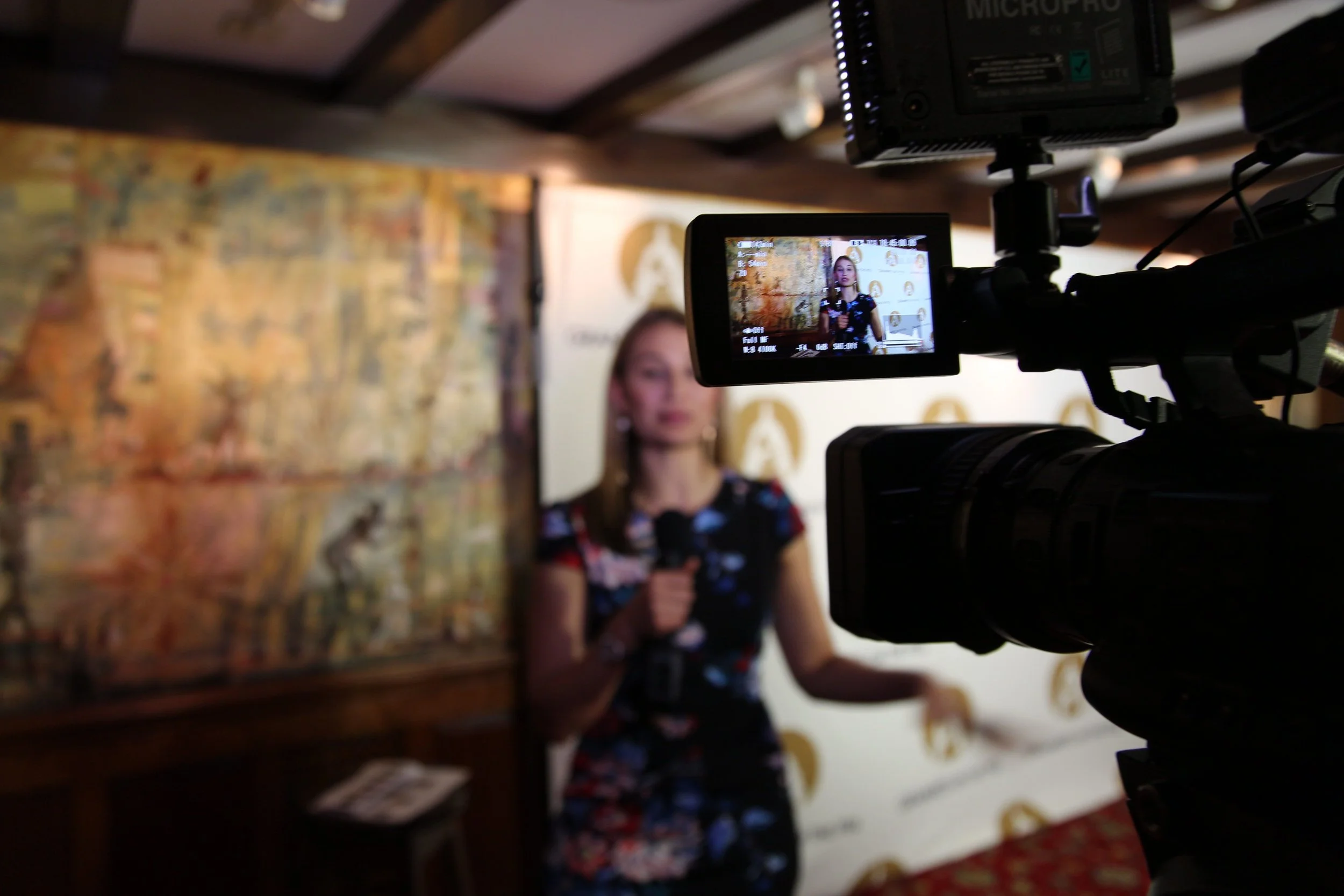  Geneva Sands of ABC News interviews celebrities for the 2017 Grammy's on the Hill event.&nbsp;  Luke Barr/ABC News 