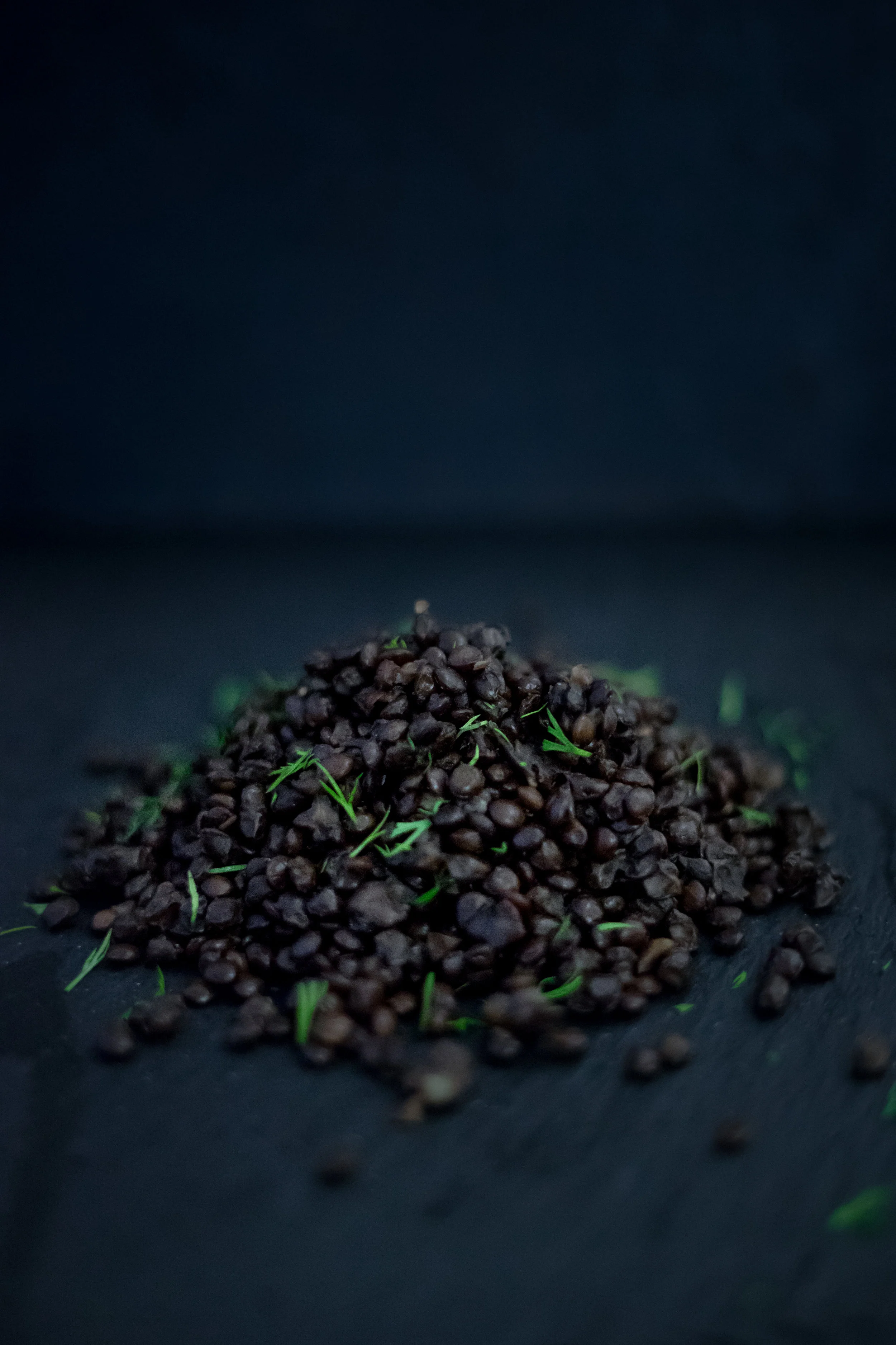 CL.COM FOOD IMAGES--5.jpg
