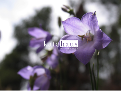 purple-flower.png