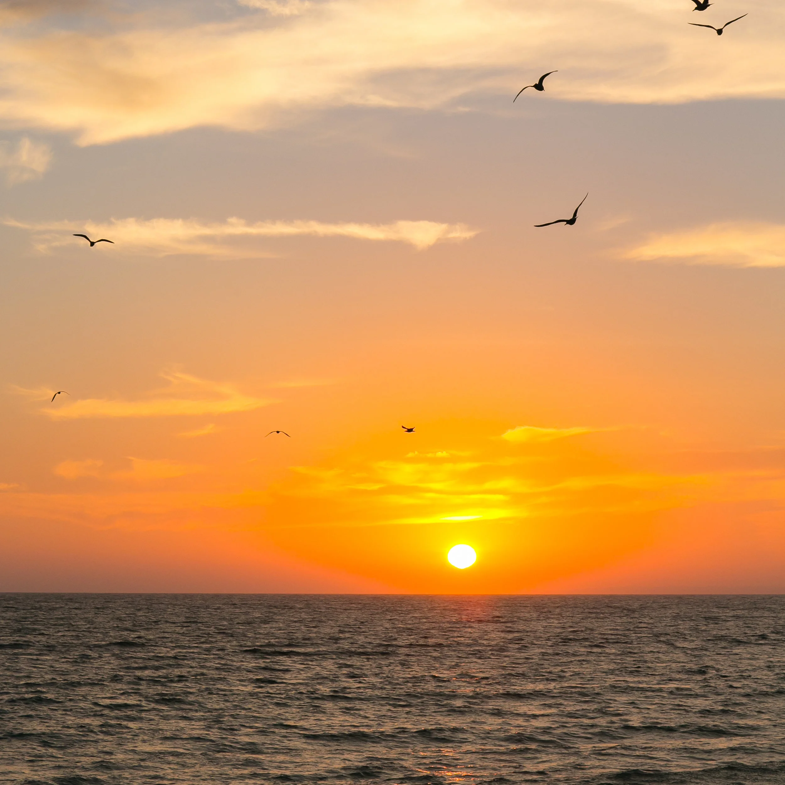 2018_KATEHAUSFINEART_2016.10.13_JodyAstrom_TestShoot_FINEART_FINALS-2669 (1).jpg