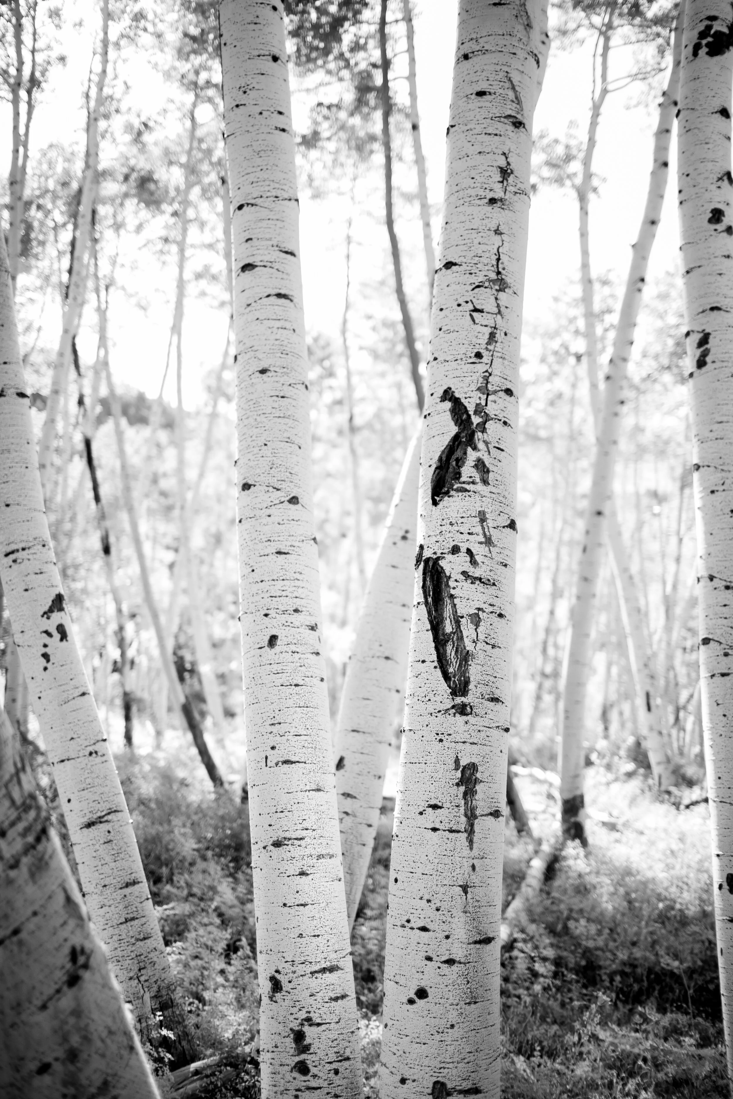KATEHAUS_FINEART_2019ROADTRIP_FINAL-8687-2.jpg