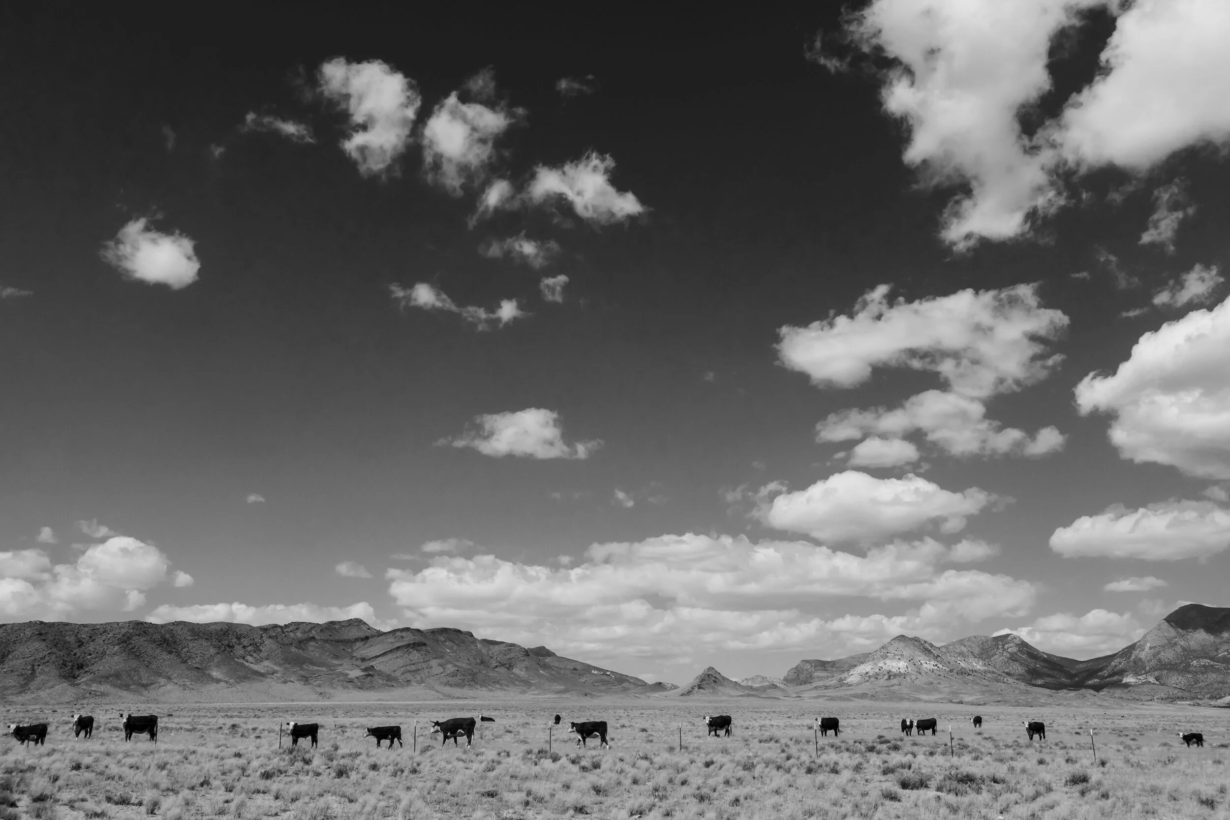 KATEHAUS_FINEART_2019ROADTRIP_FINAL-7411-2.jpg