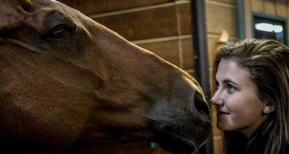 How Coaching with Horses Improves Communication Skills