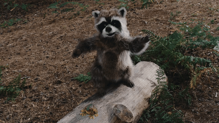 GIDE54835H-Jealousy_16x9-30-high copy.gif