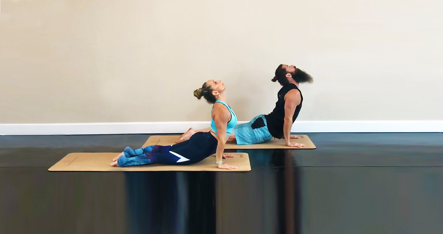 Private Yoga Classes, Private Yoga Instruction, Titusville Yoga Classes at  The Titusville Yoga Loft — The Titusville Yoga Loft