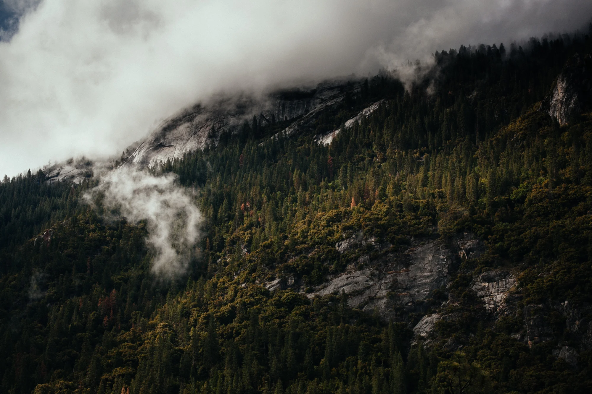 Yosemite National Park