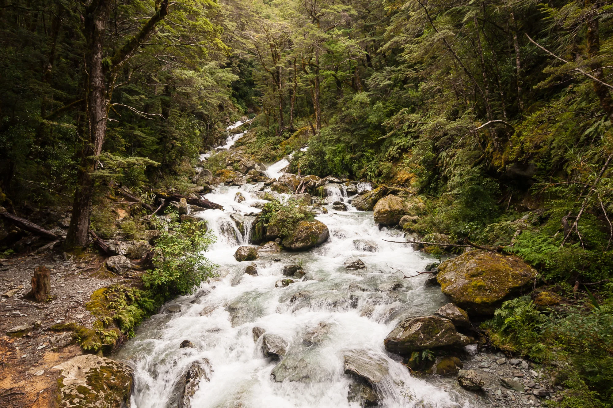 New Zealand