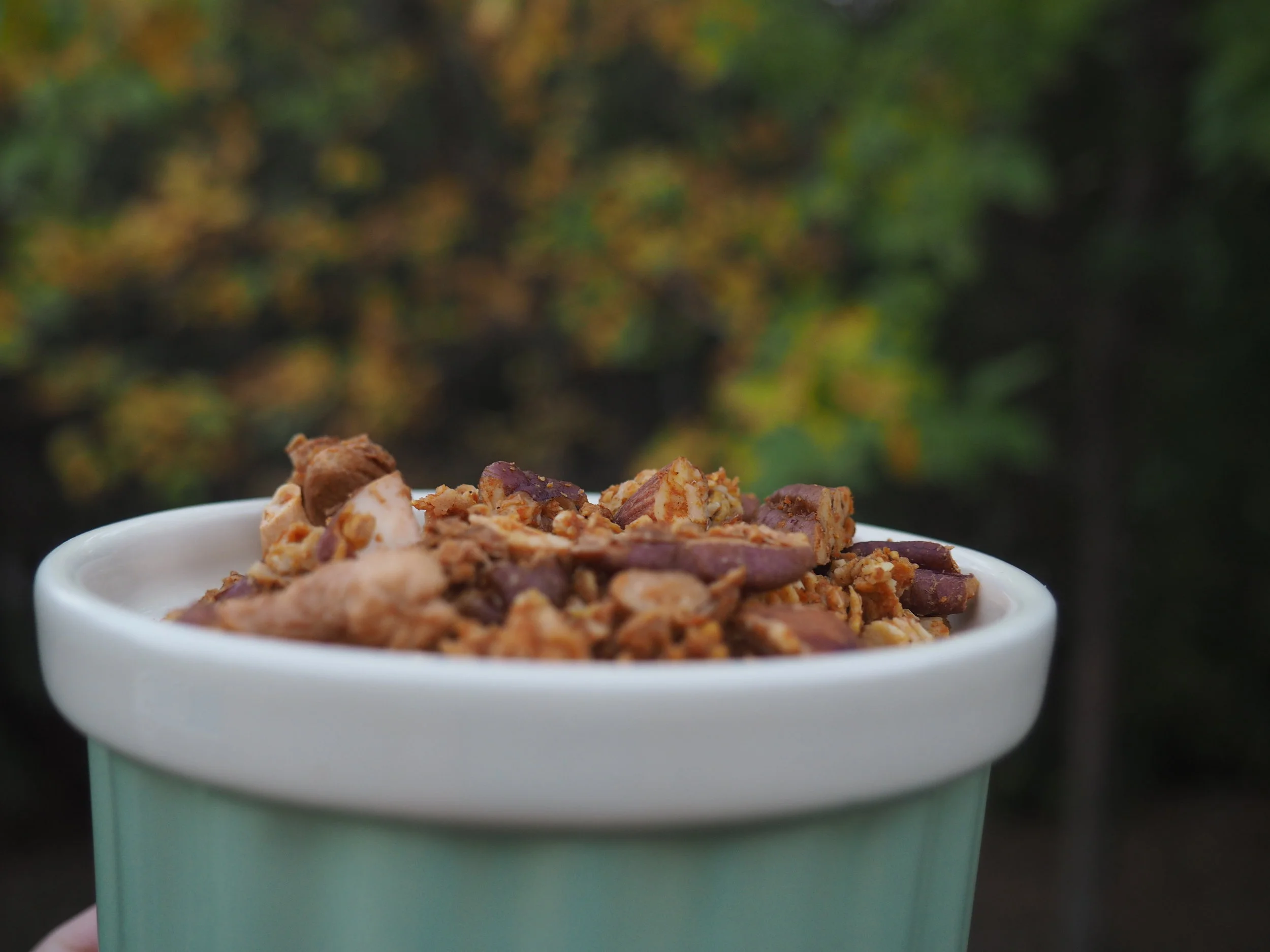 Pumpkin Spice Granola 