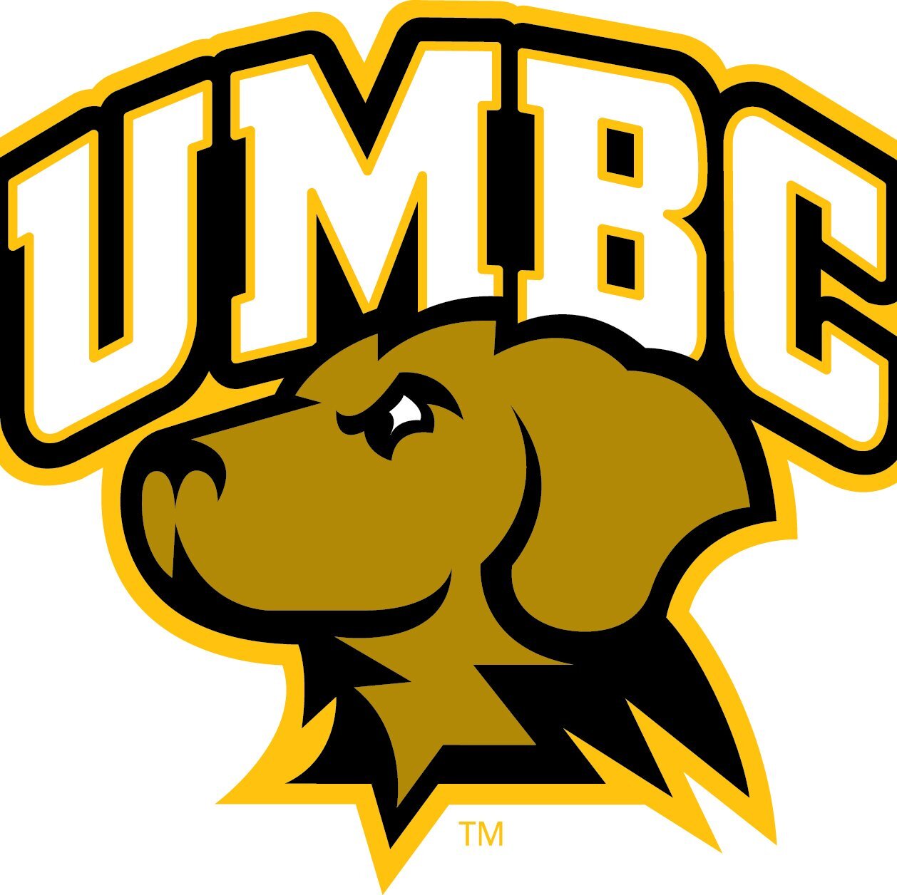 umbc.jpg