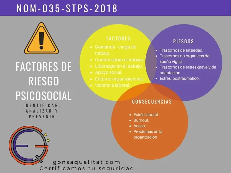 Todo lo que debes conocer sobre la NOM 035 STPS 2018 — Gonsa Qualität ...