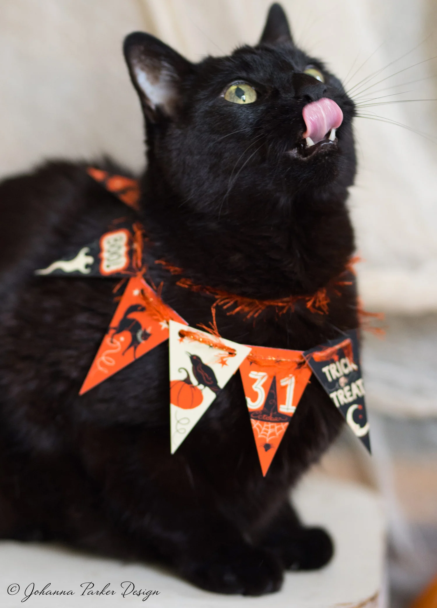 Showing a little tongue and fang in this one!