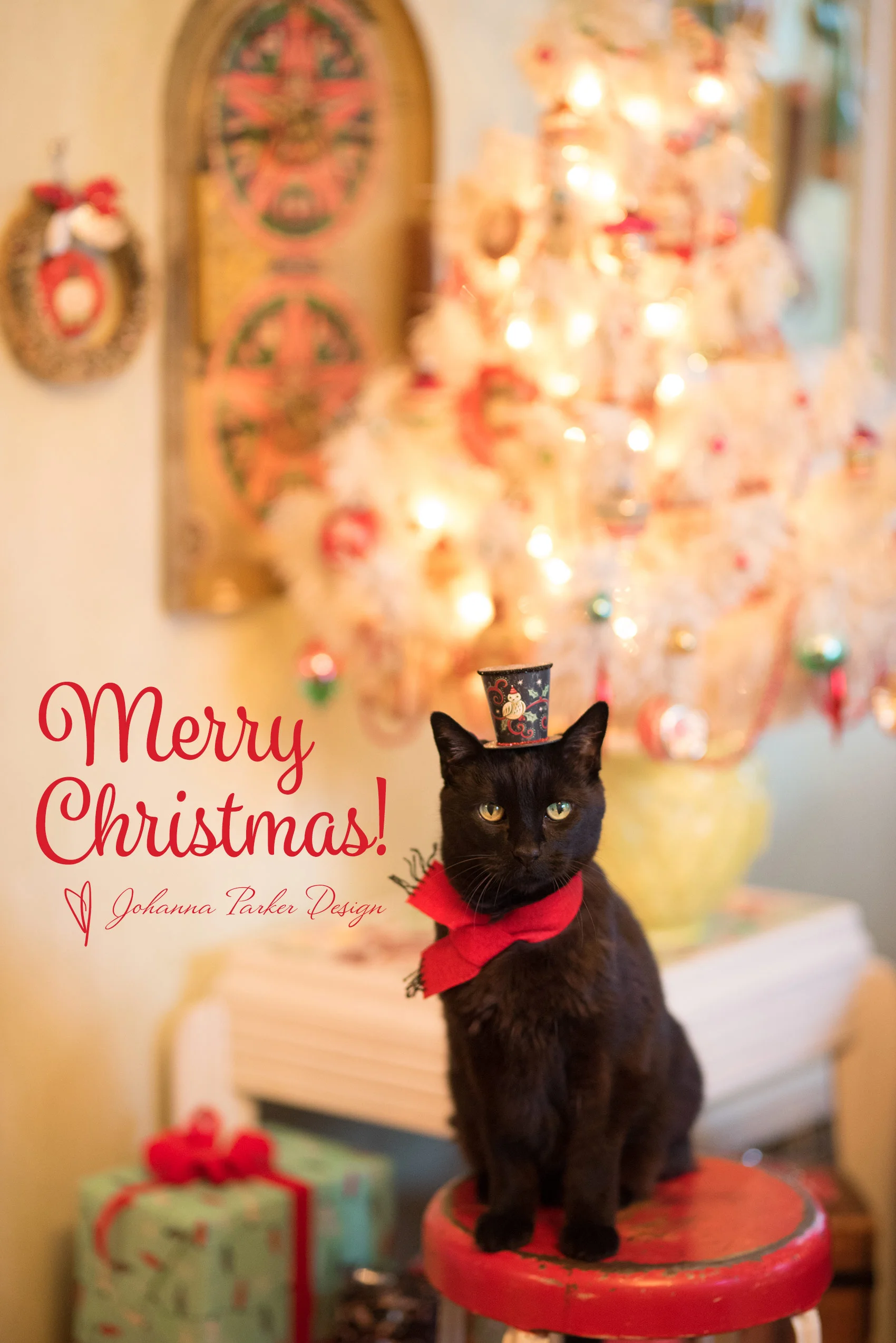 Christmas-Top-Hat-Jack-blog.jpg