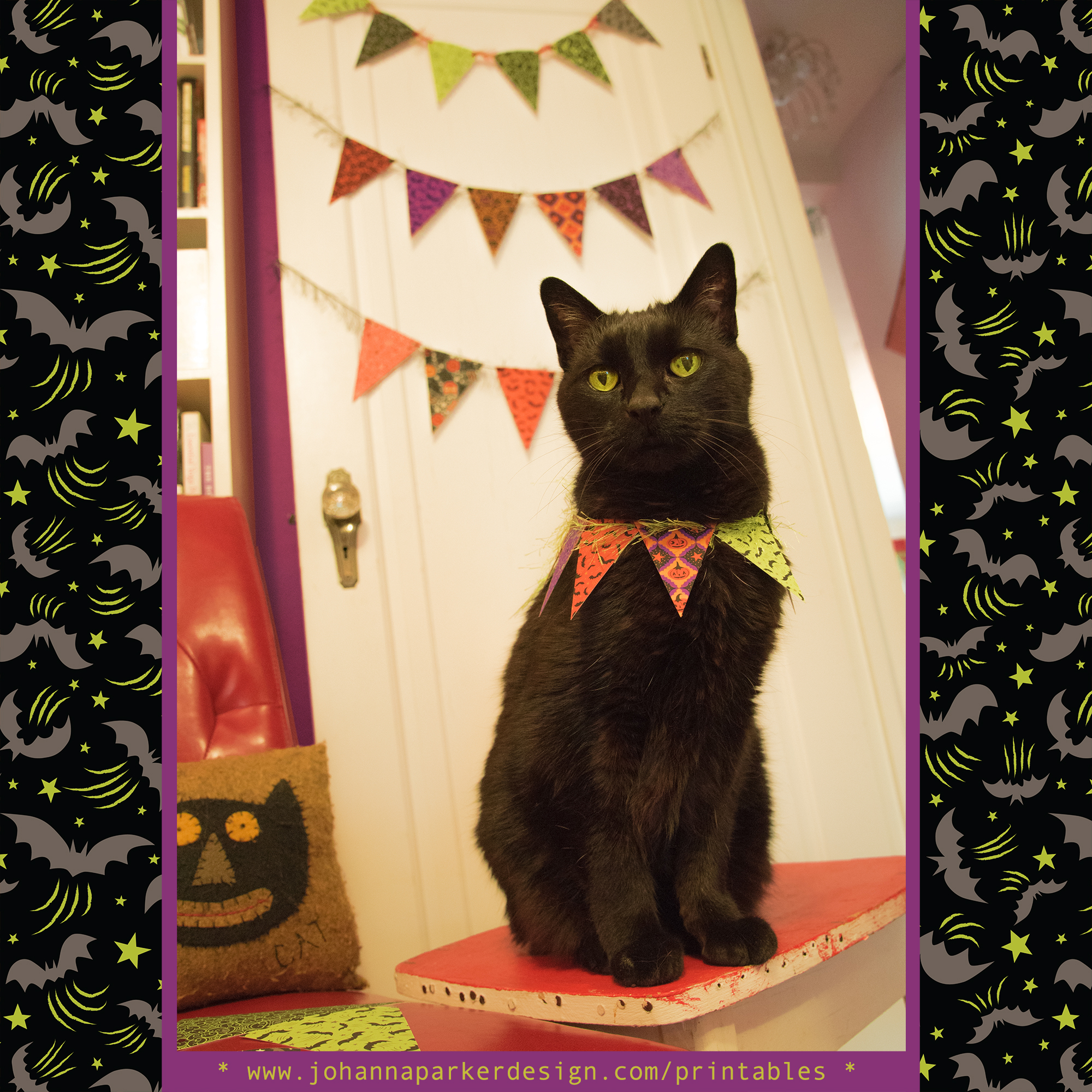 Jack-wearing-Halloween-pennants.jpg
