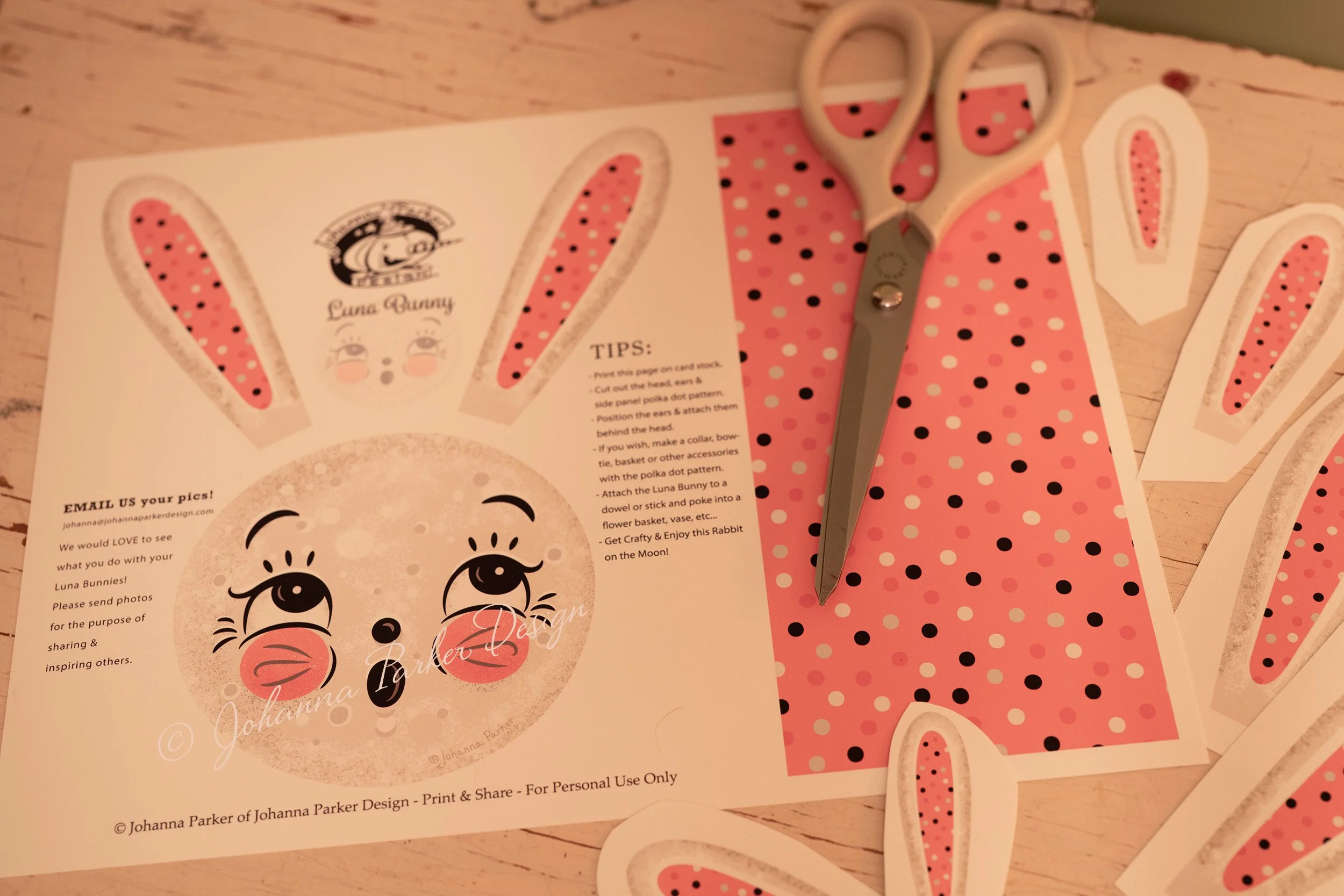 Johanna-Parker-Design-Luna-Bunny-Project-Printed.jpg