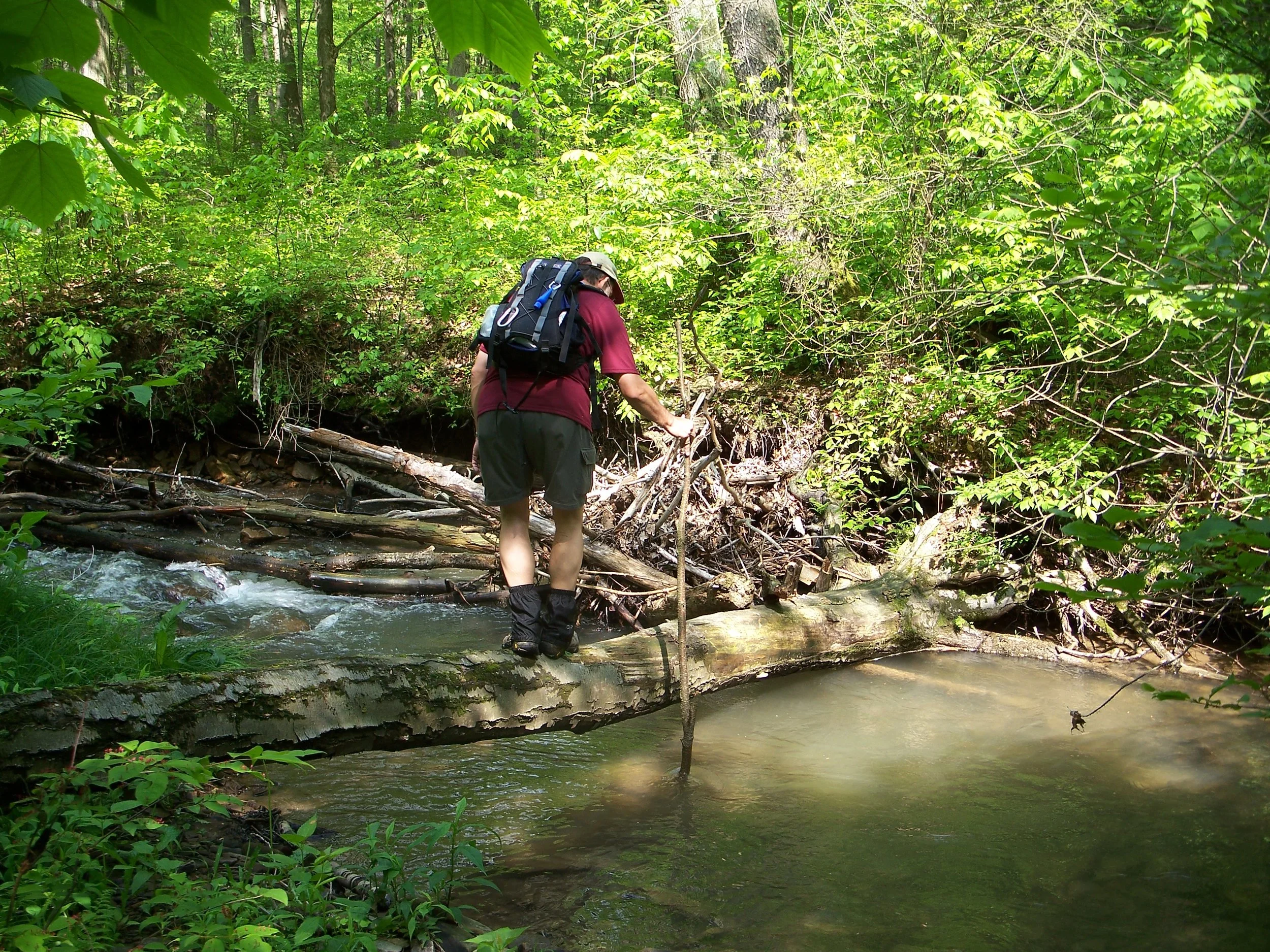 Hiker crosses Tributary of Ragtavern Run.jpg