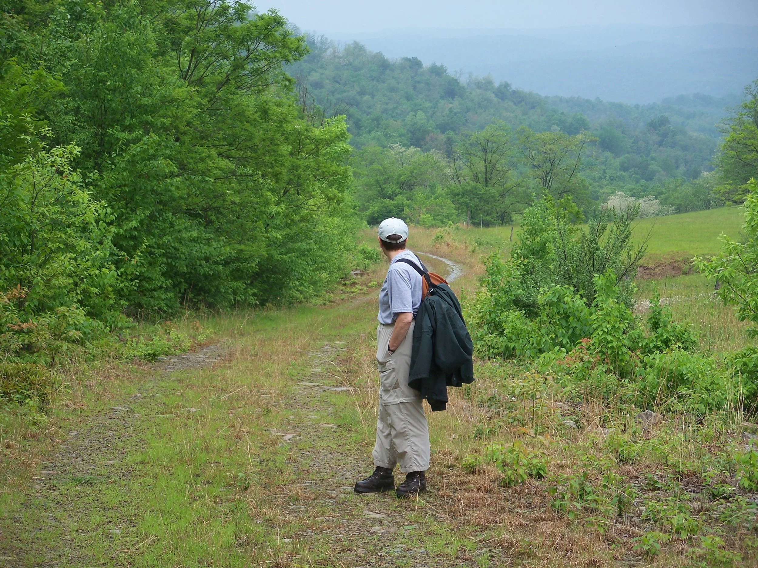 Potential relo on Briery Mtn.jpg