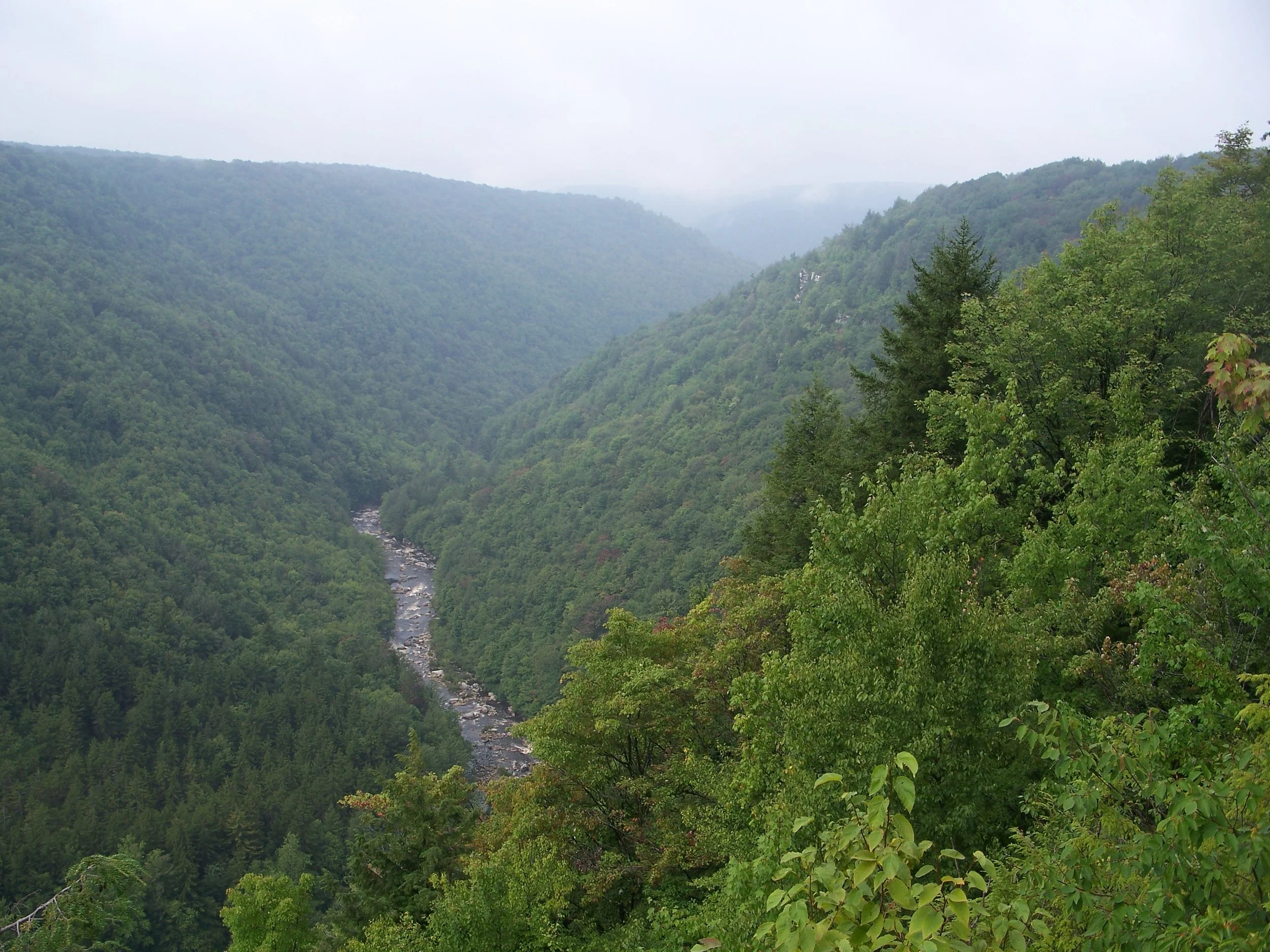S1 Blackwater Canyon overlook near S terminus of Sect. 1 - By Doug Wood