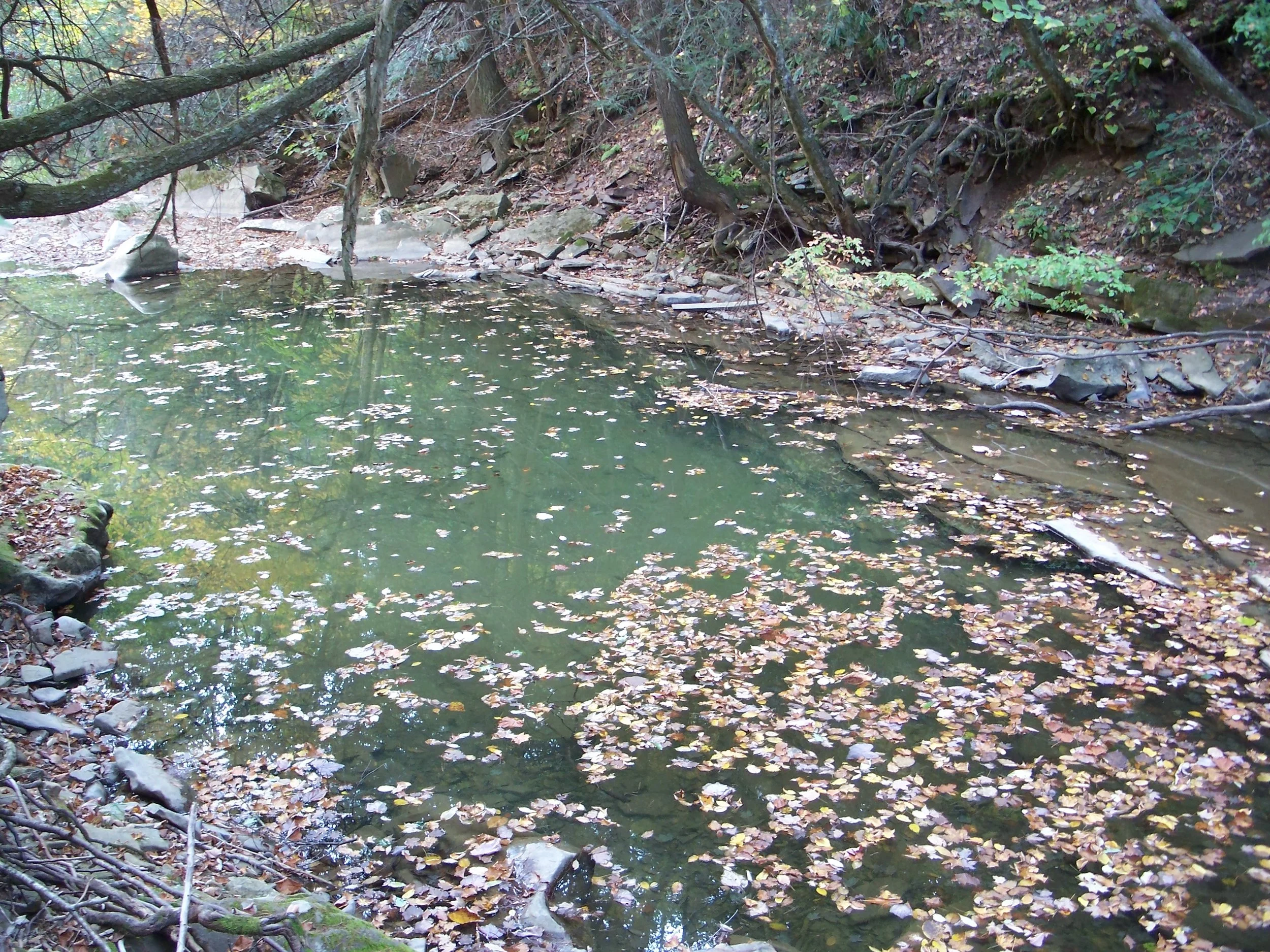 S3 Beaver Ck swimming hole - By Doug Wood