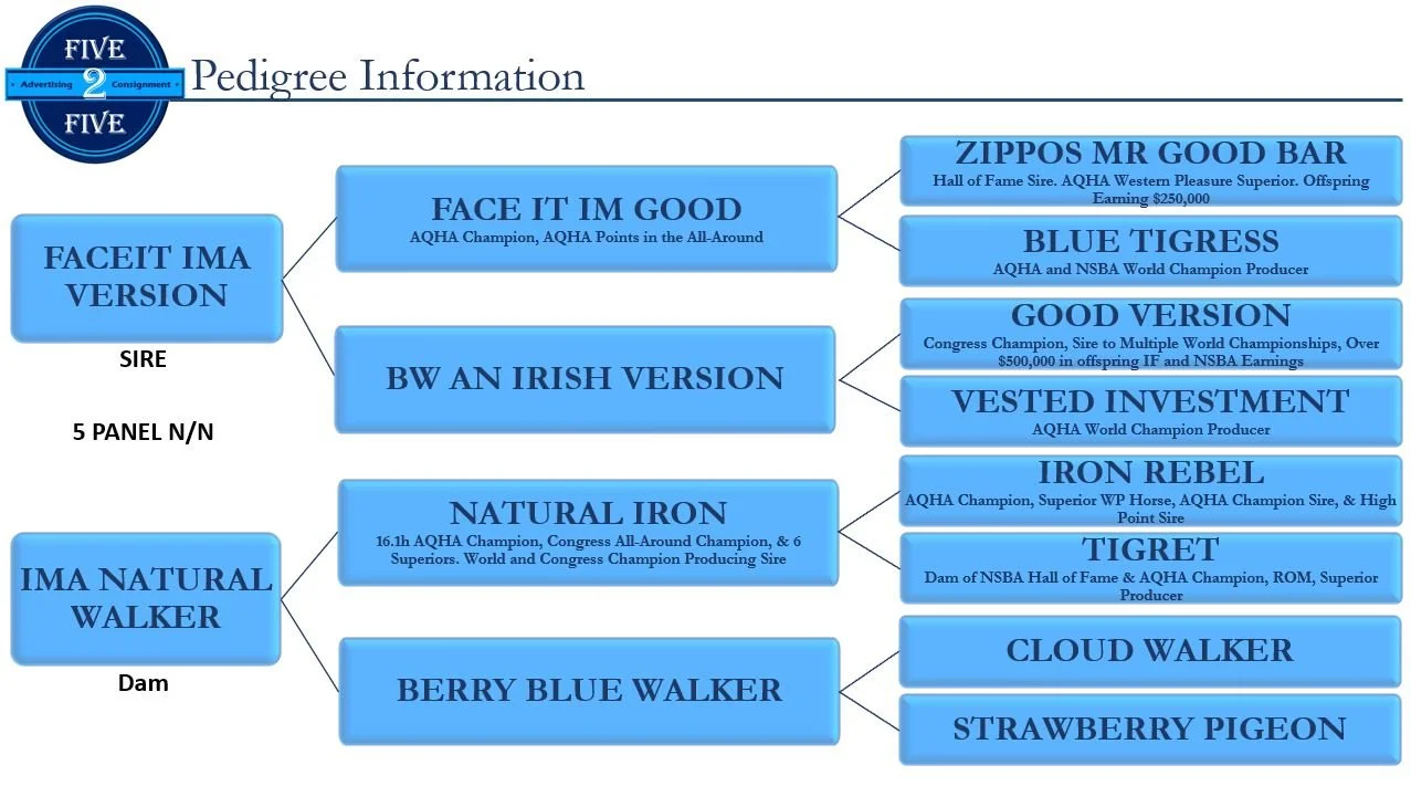 pedigree for video.JPG
