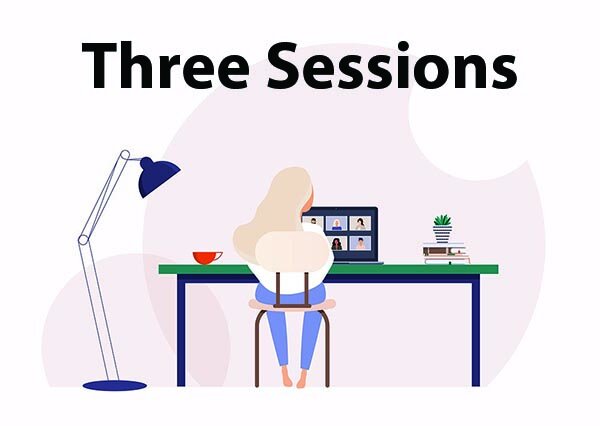3 Virtual Sessions (Individual)