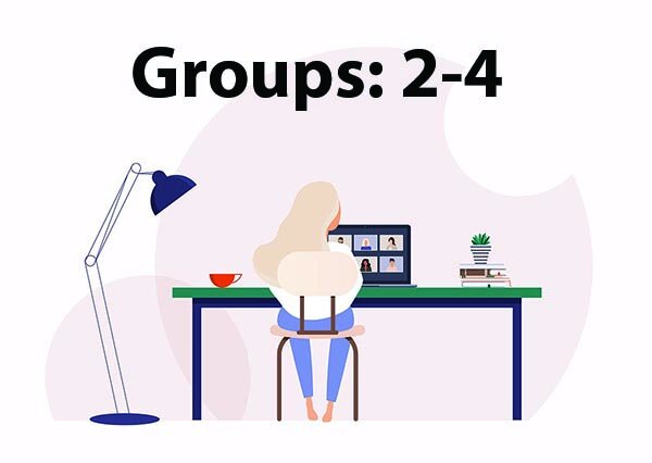 Virtual Group: 2-4