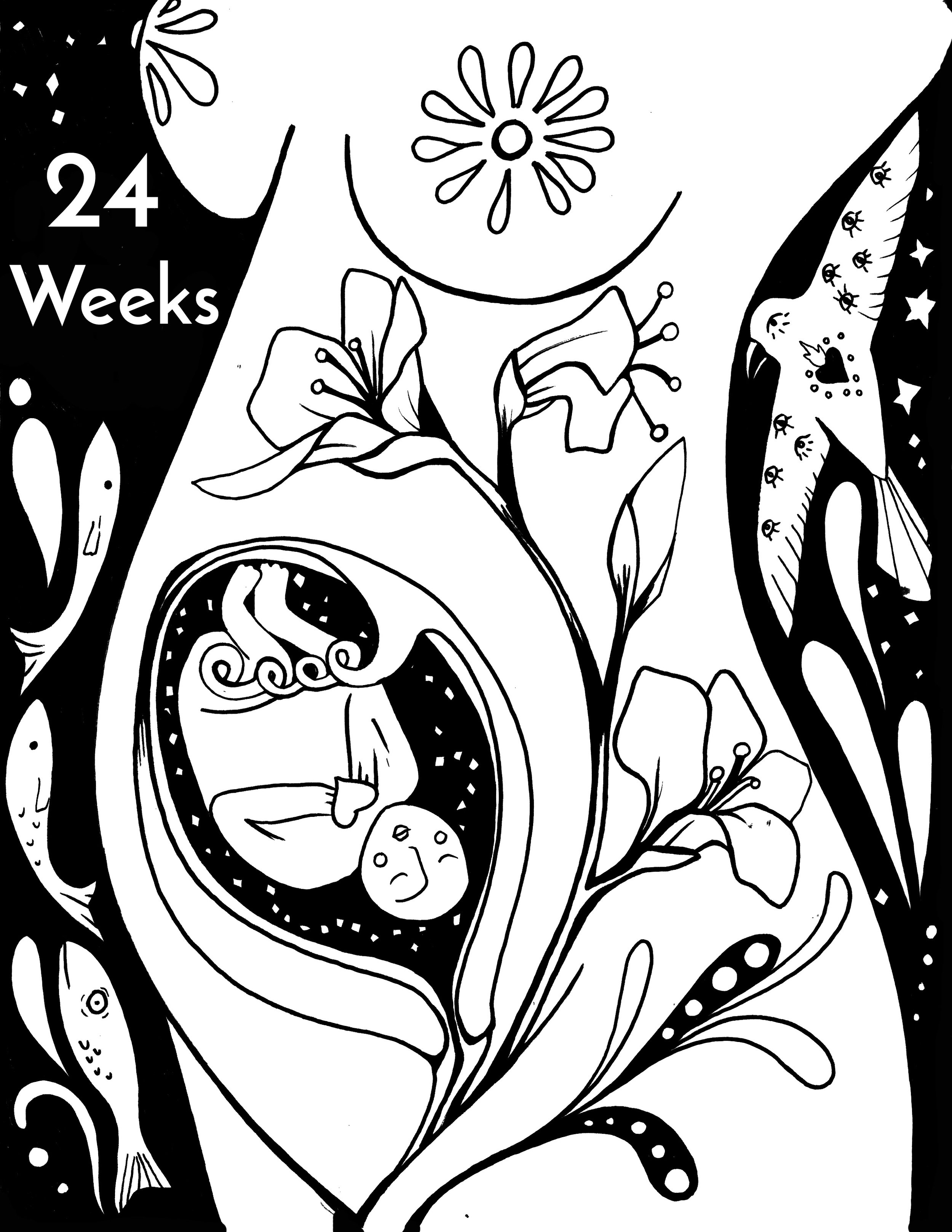24 Weeks Baby.jpg