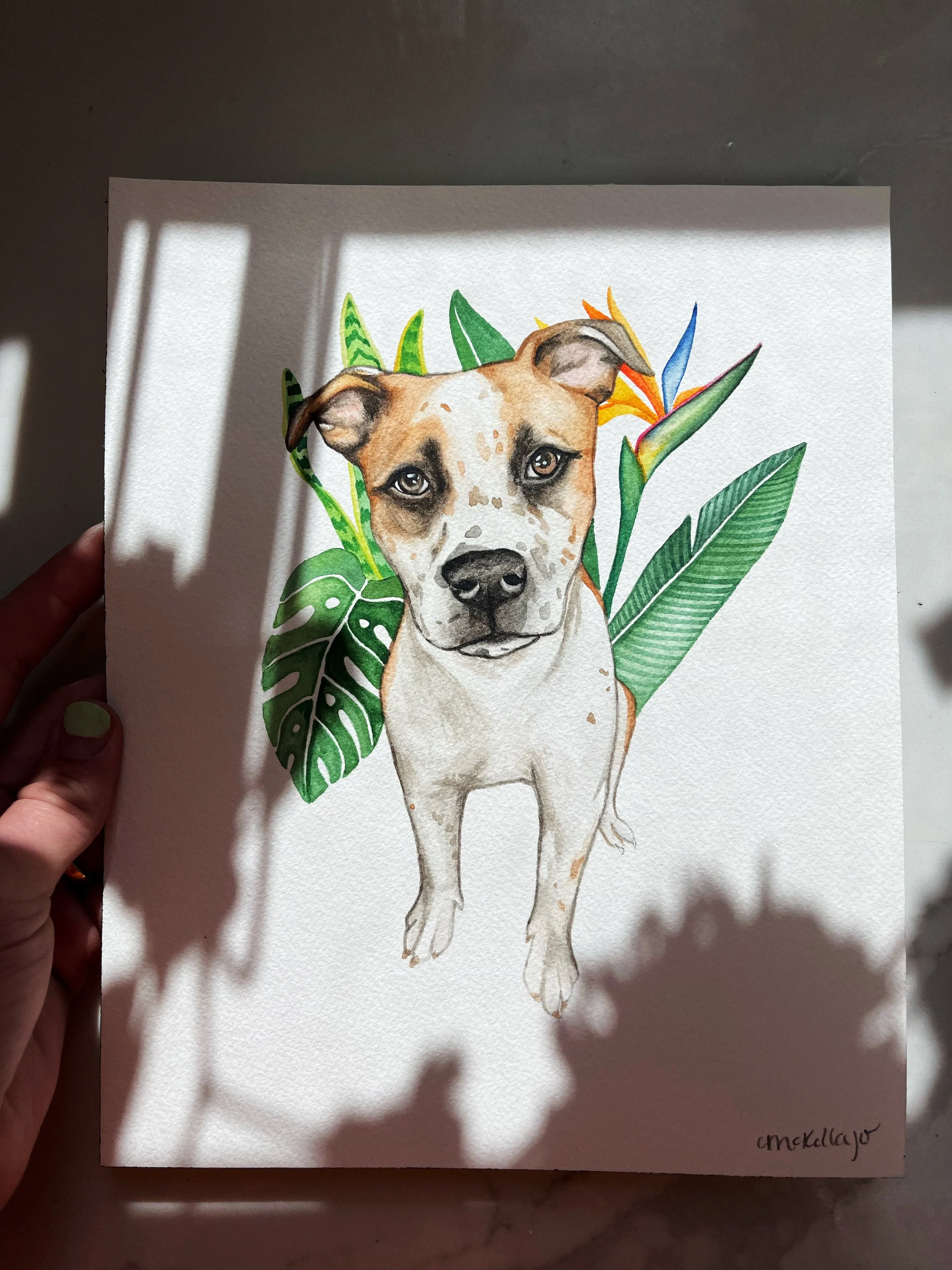 AfterlightImage 5.JPG