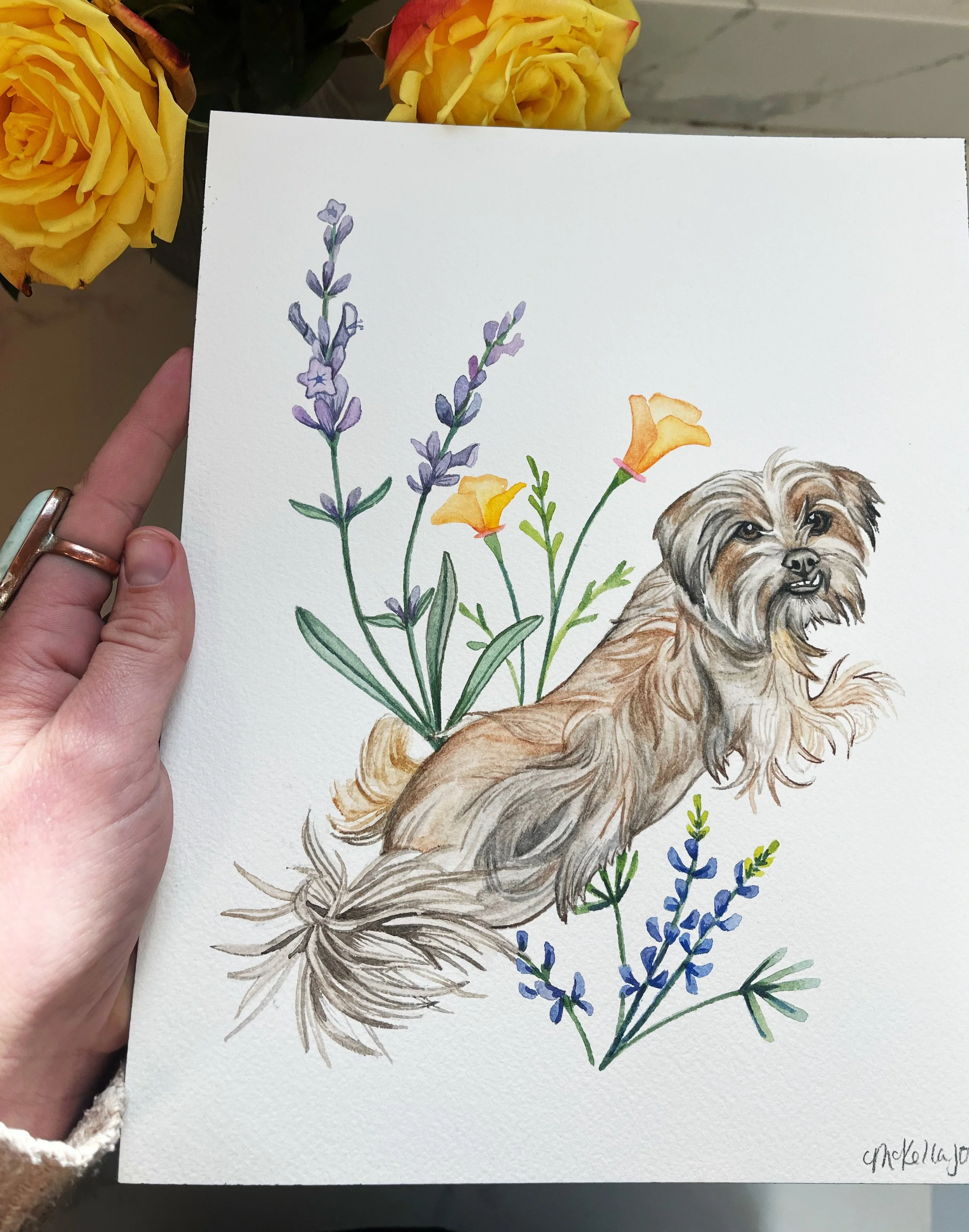 AfterlightImage 11.JPG