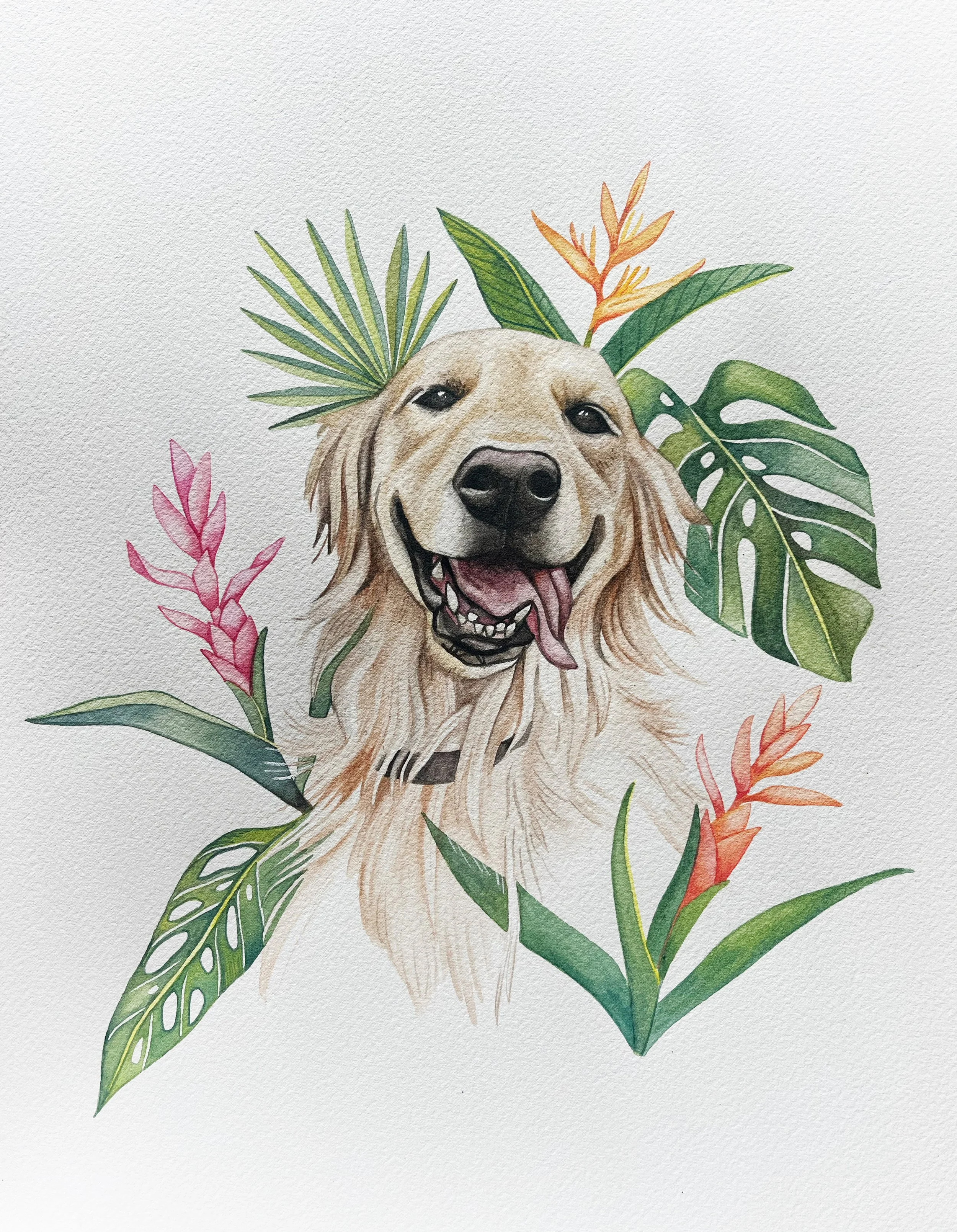 AfterlightImage 15.JPG