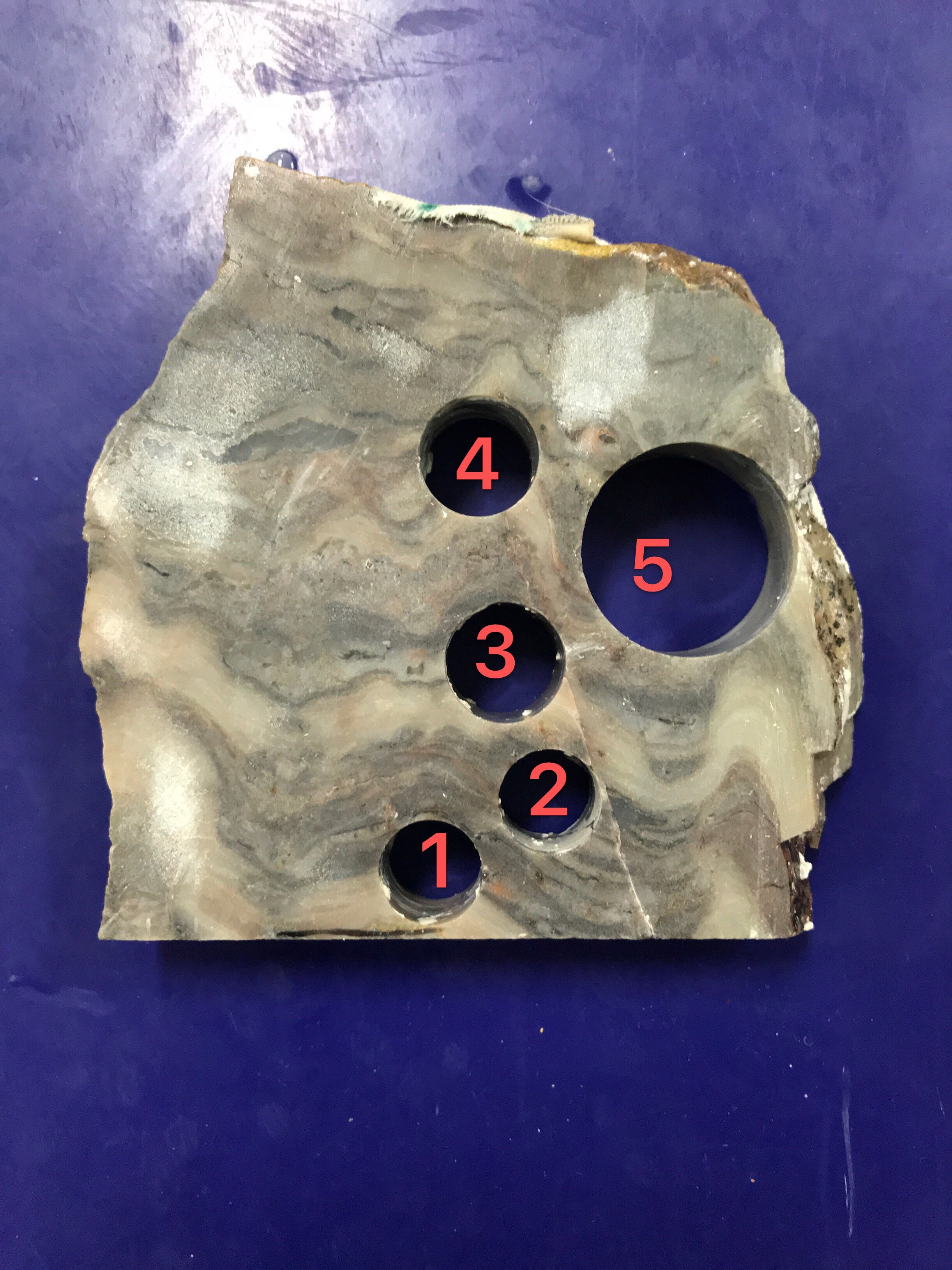 Archean stromatolite slab with drill cores for isotope analysis
